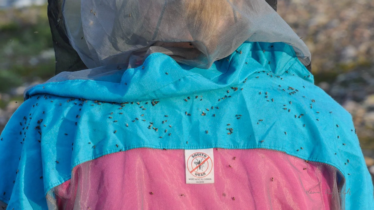 A bug jacket will keep blackflies at bay