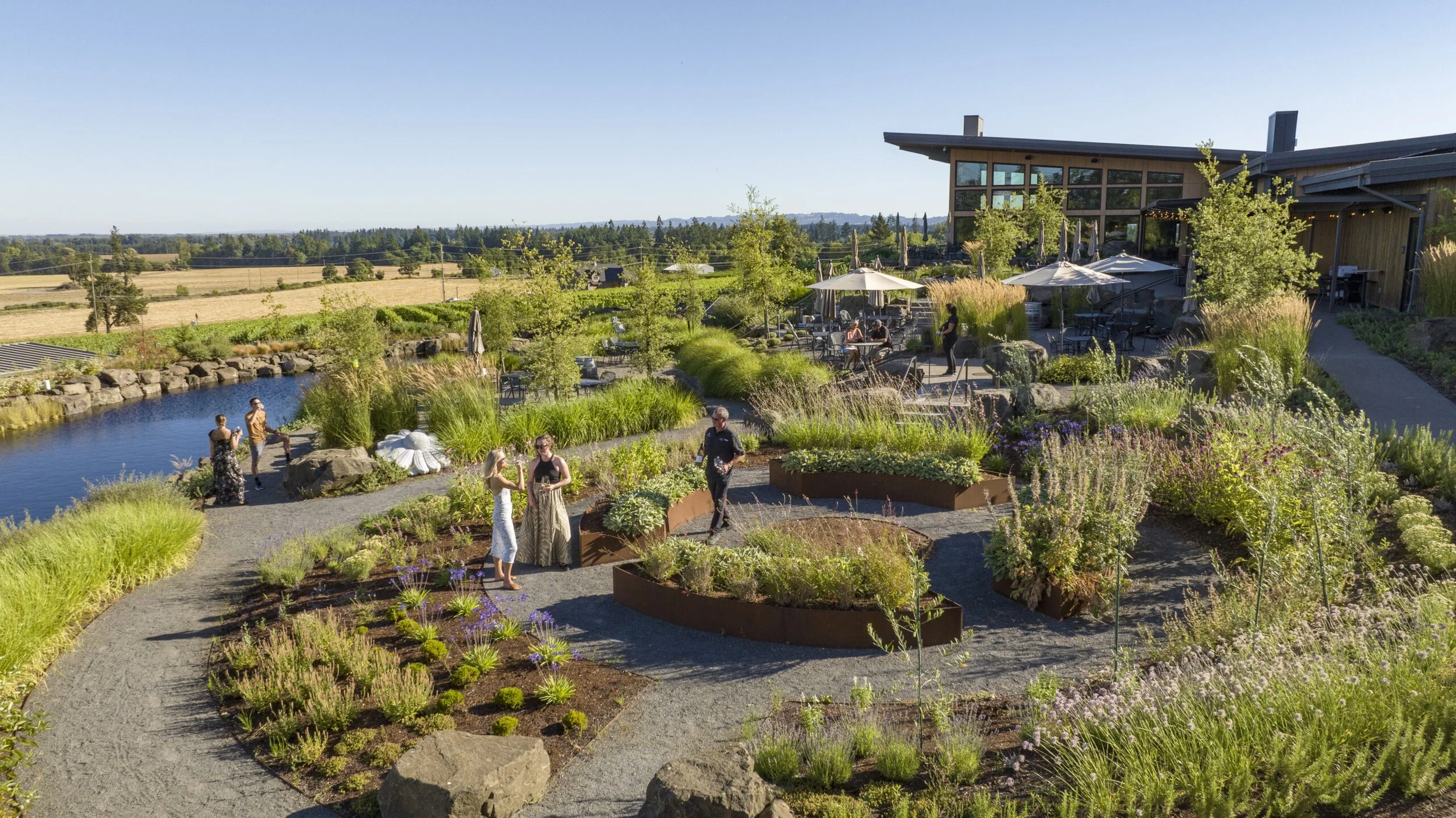 Domaine-Willamette-drone-2_20230717_034-scaled.jpg
