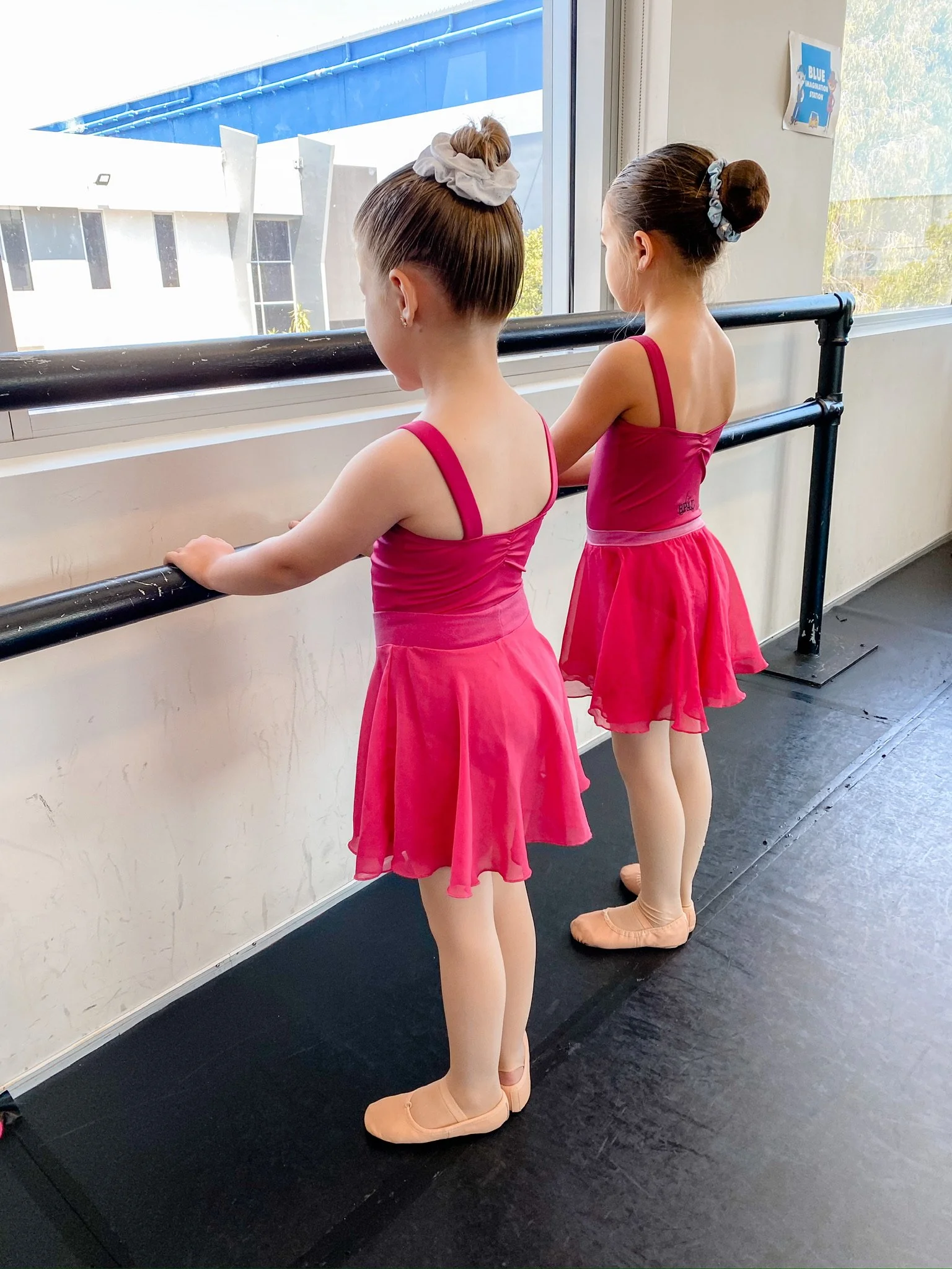 Two young girls in pink ballet costumes practicing at a dance studio by a window, facing away.