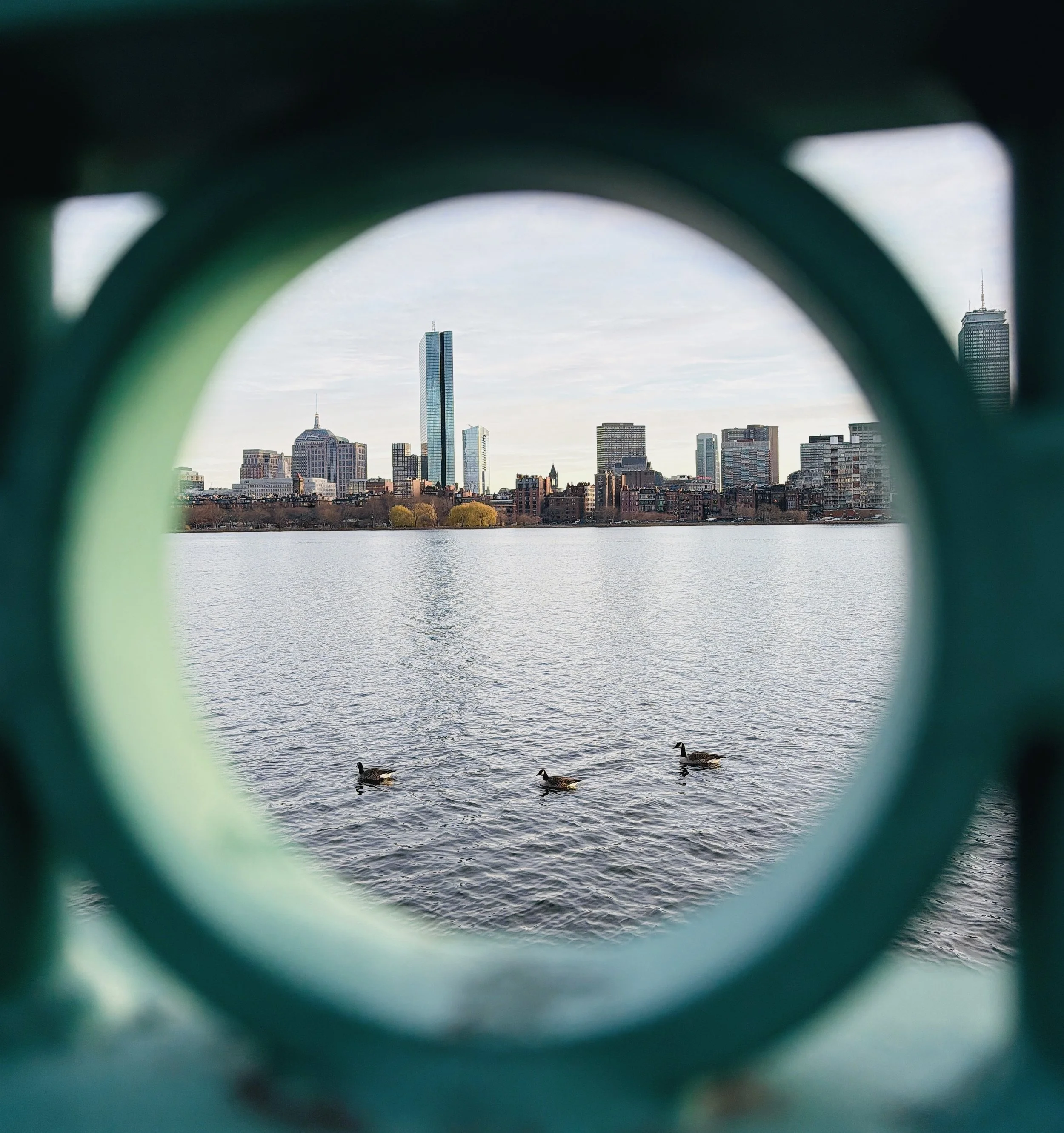 Caves for Living Creatures(Silver Key)