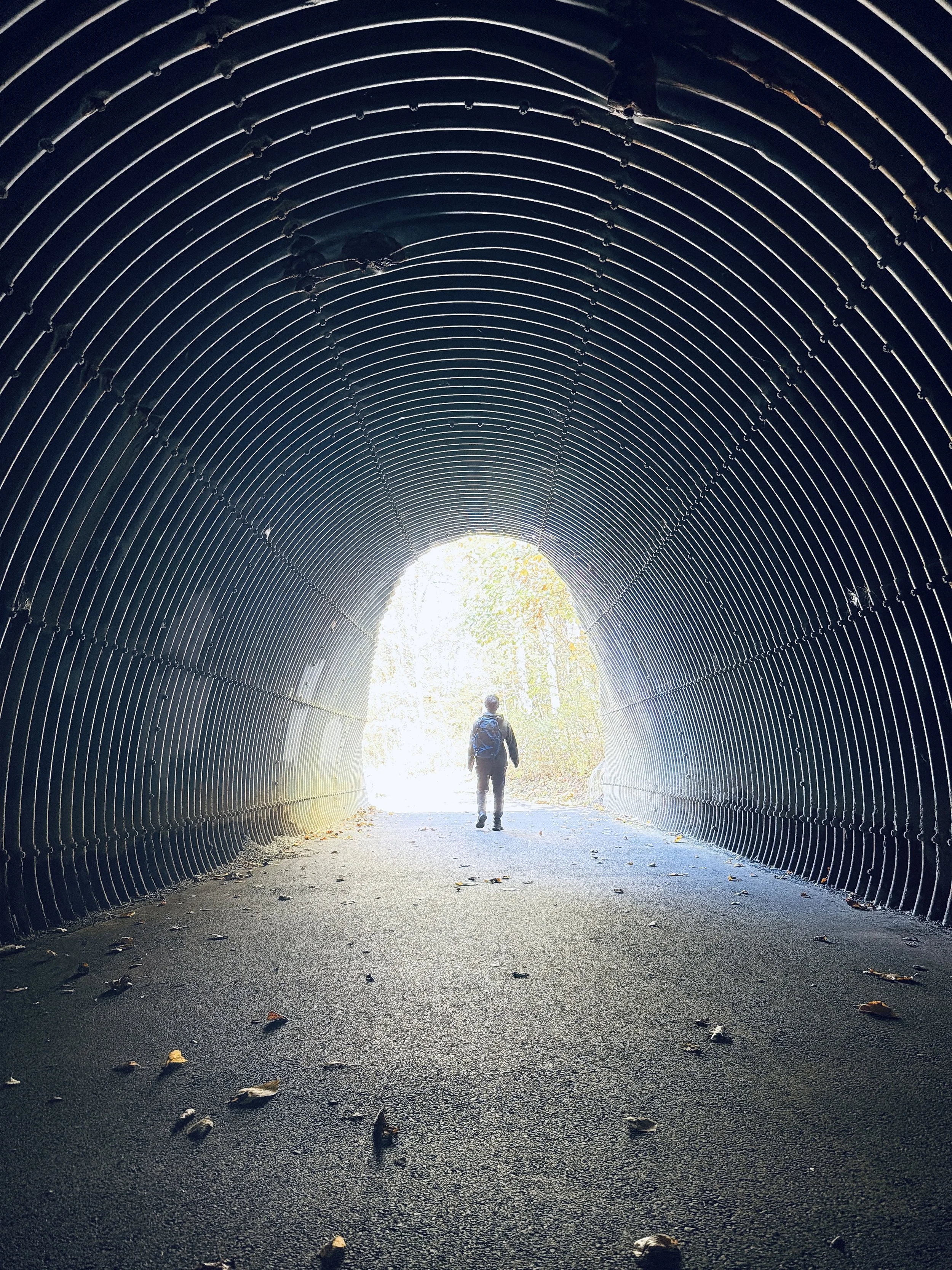 "Journey Towards Salvation"