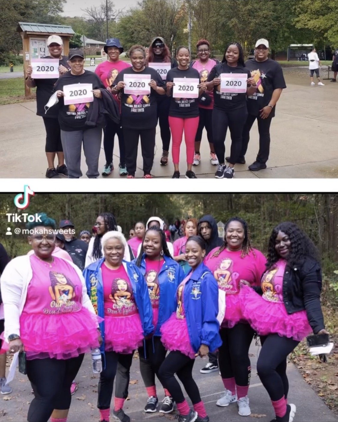 Breast Cancer Walk