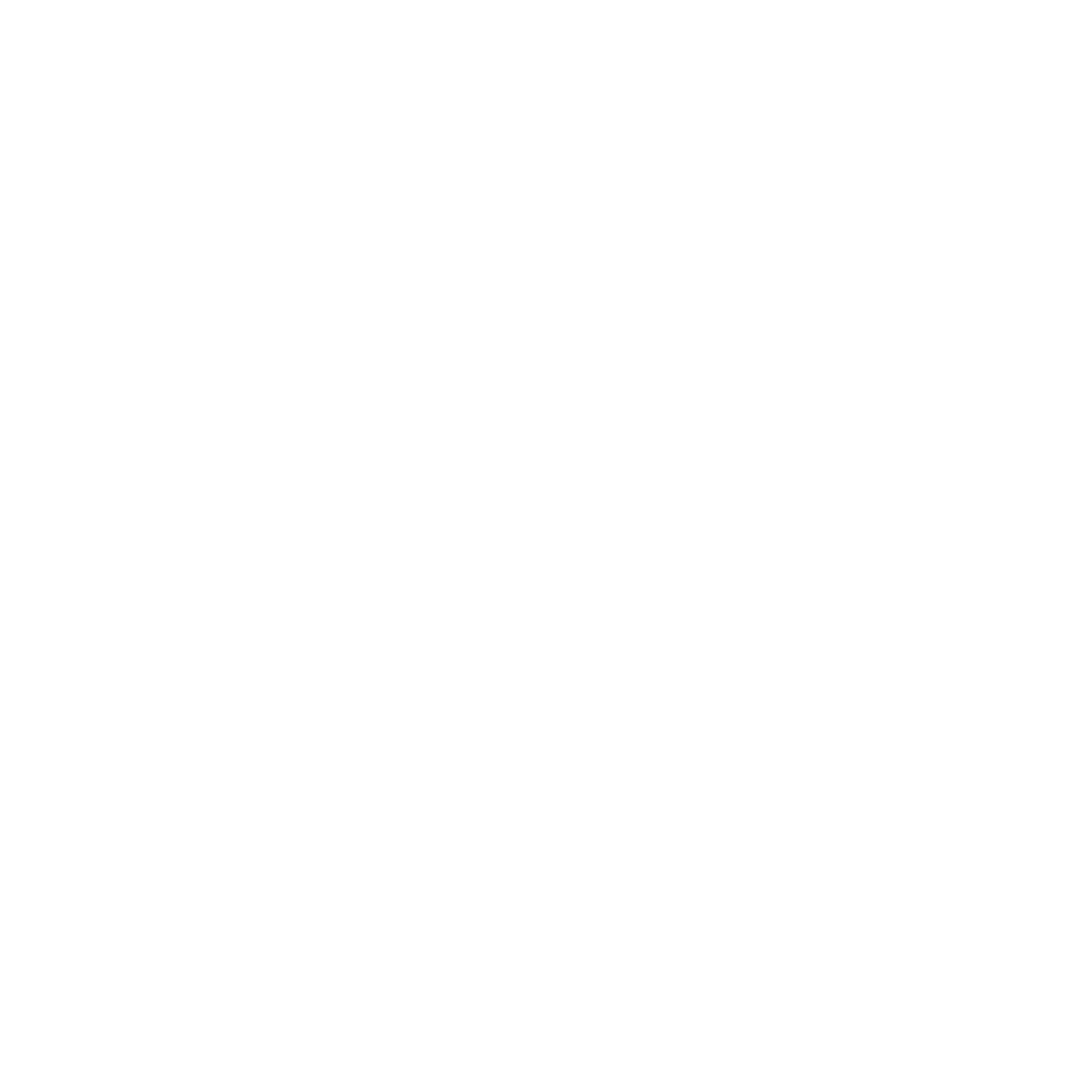 Outline of a wristwatch with the letters 'API' in the center.