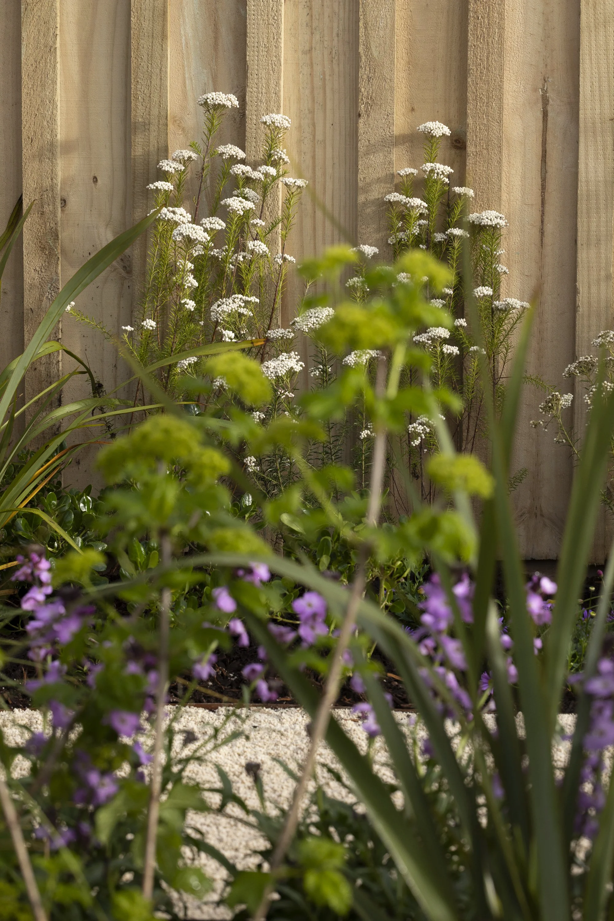 100126_HOMEandGARDEN_MG_0342.jpg