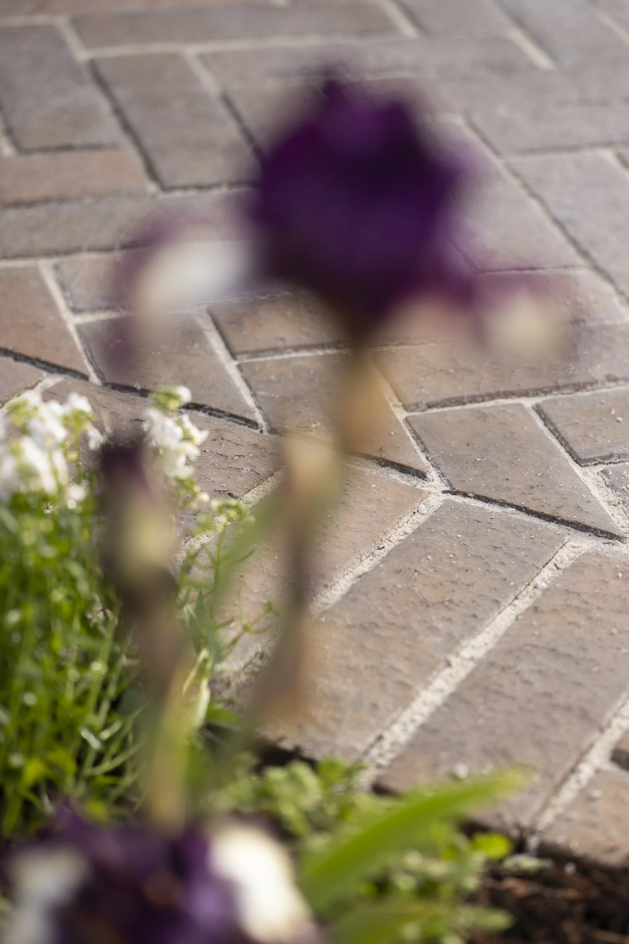100126_HOMEandGARDEN_MG_0353.jpg