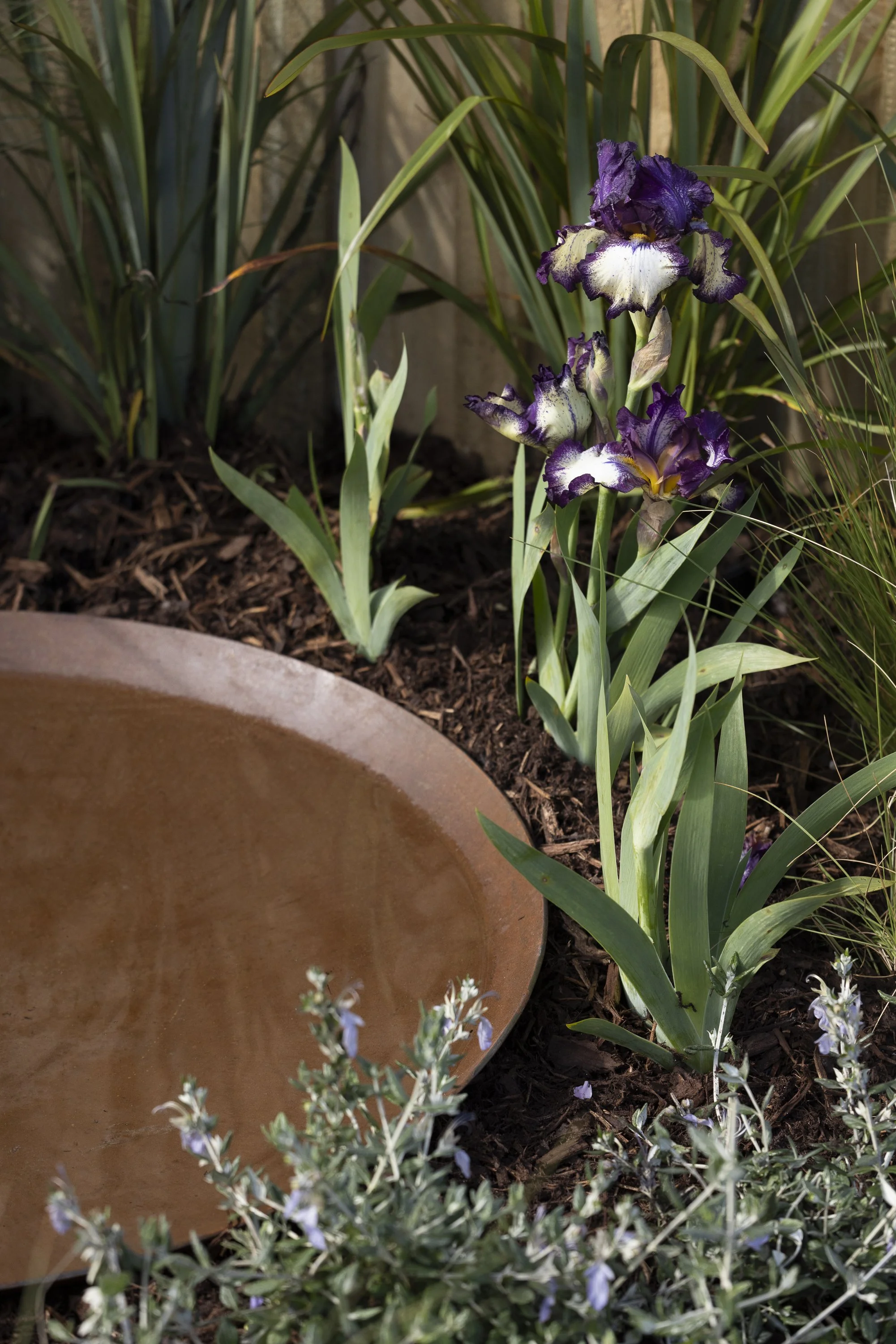 100126_HOMEandGARDEN_MG_1040.jpg