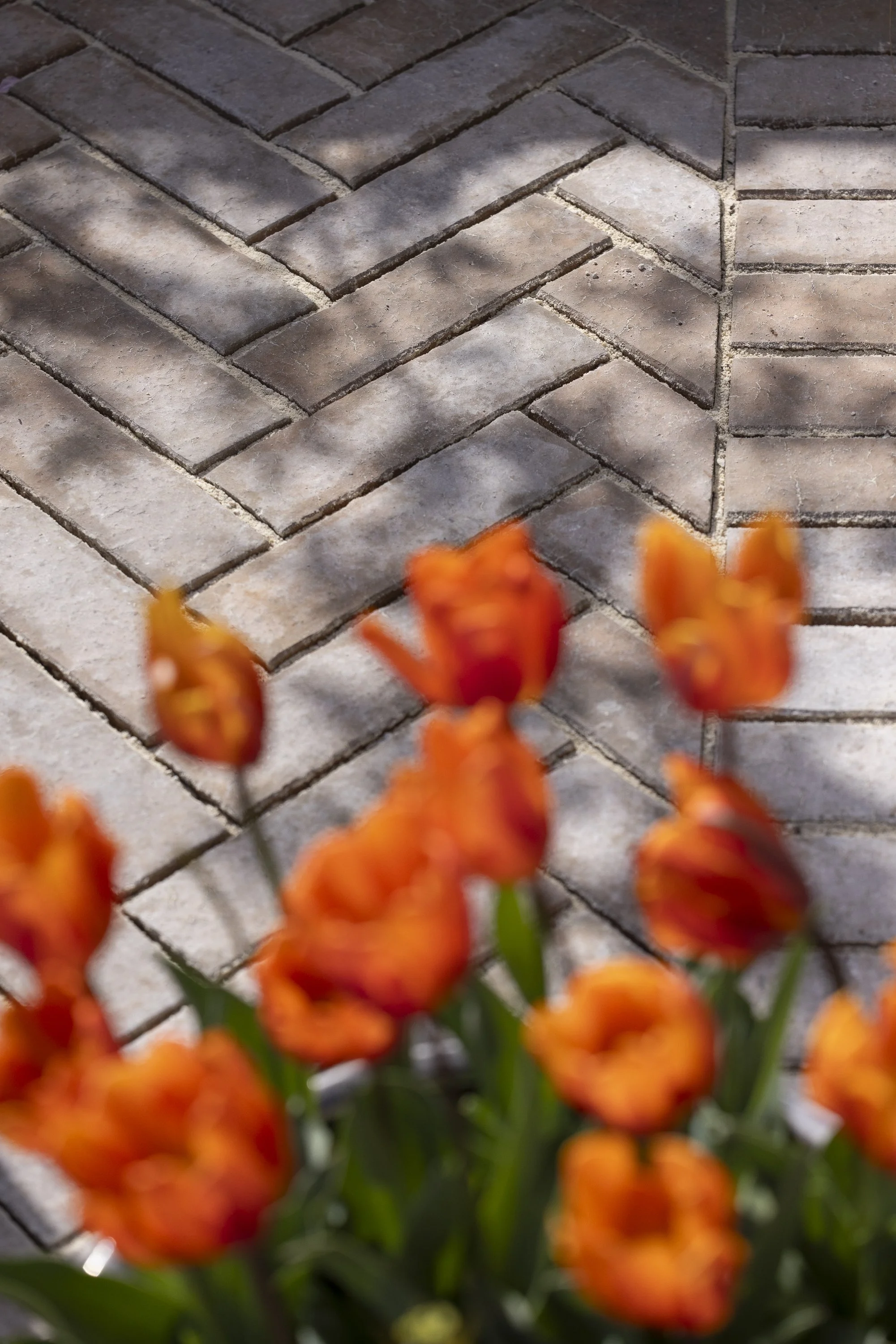 100126_HOMEandGARDEN_MG_1016.jpg