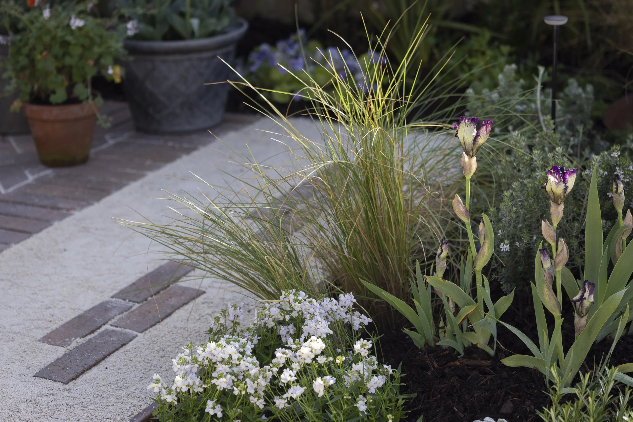 100126_HOMEandGARDEN_MG_0536.jpg