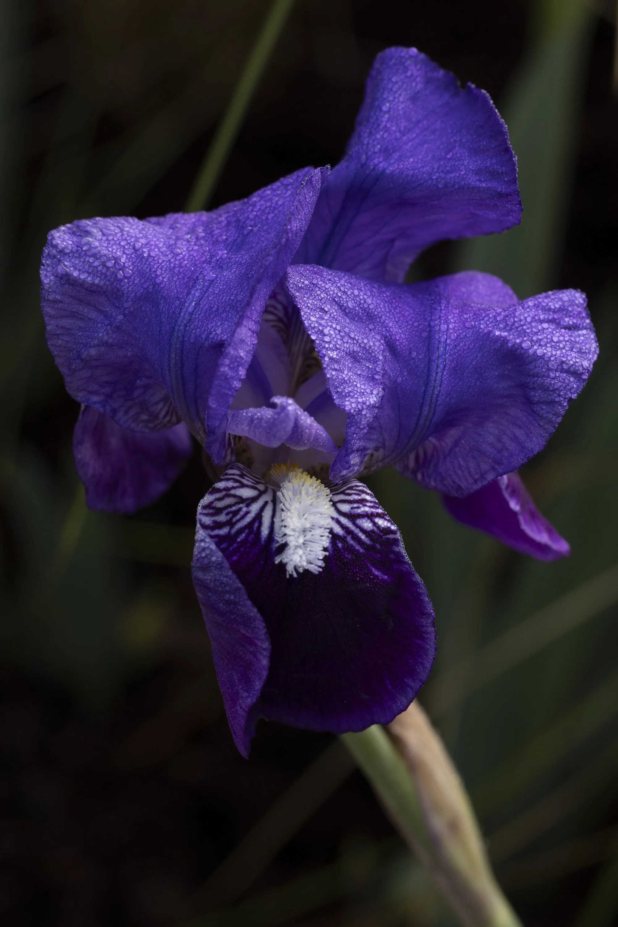 100126_HOMEandGARDEN_MG_0306.jpg