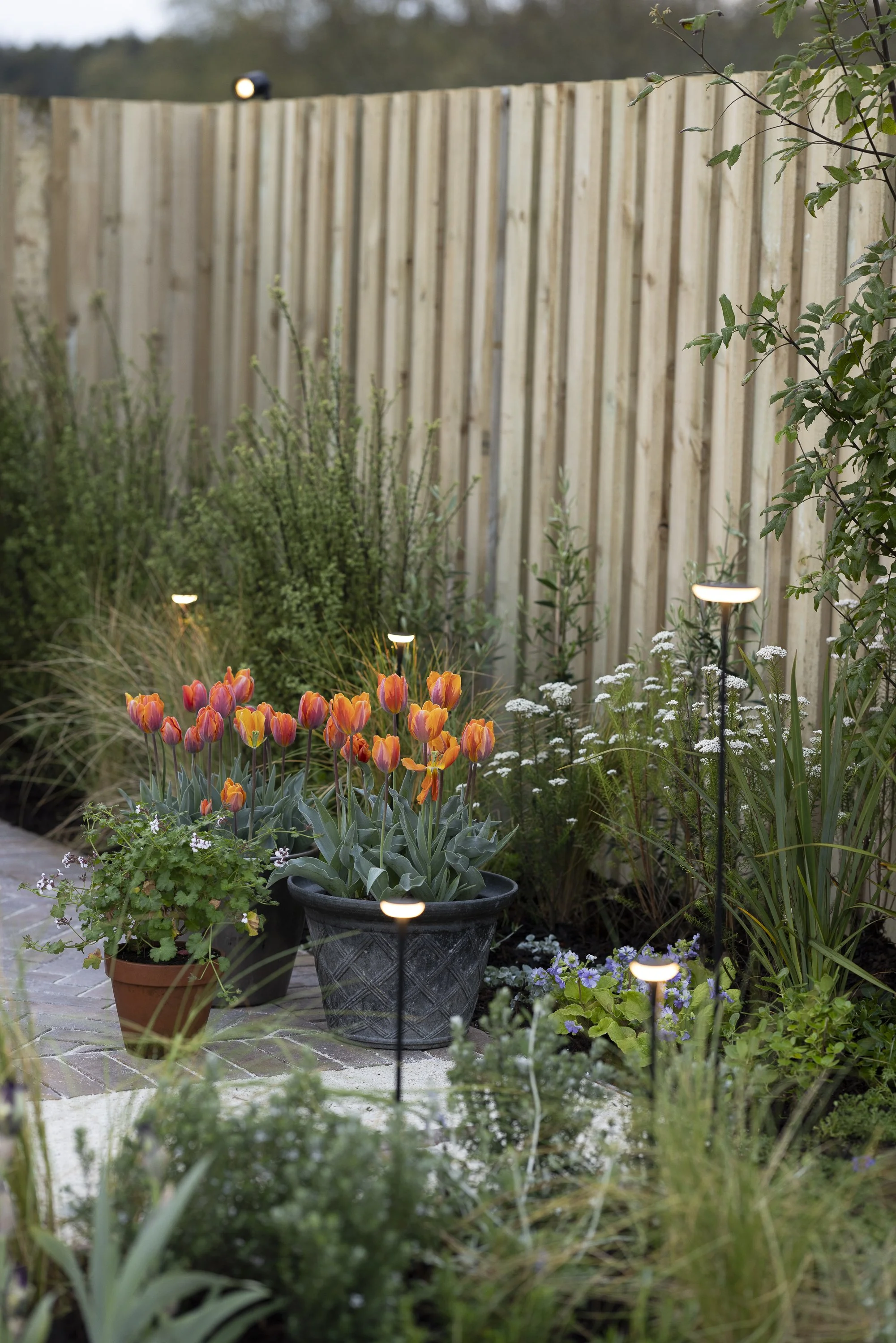 100126_HOMEandGARDEN_MG_0131.jpg