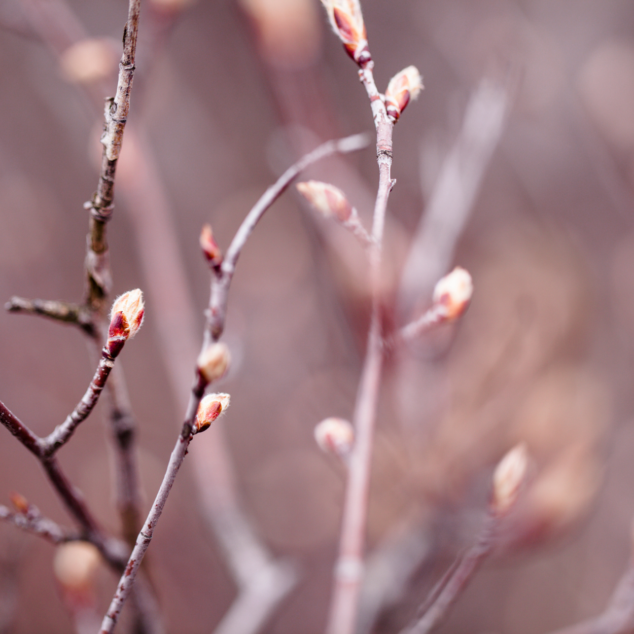 Make Room for Growth