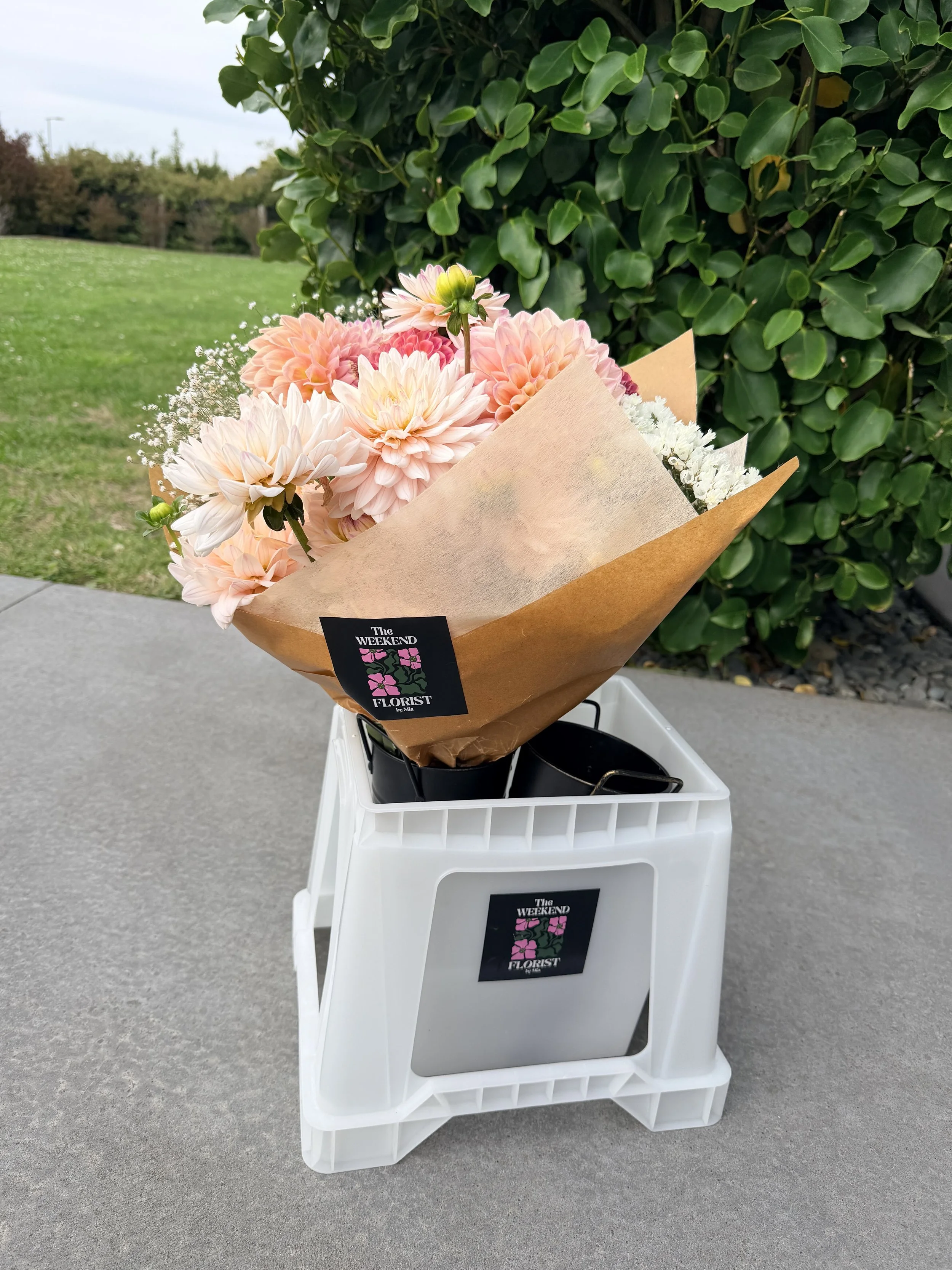 Wrapped Market Bunch