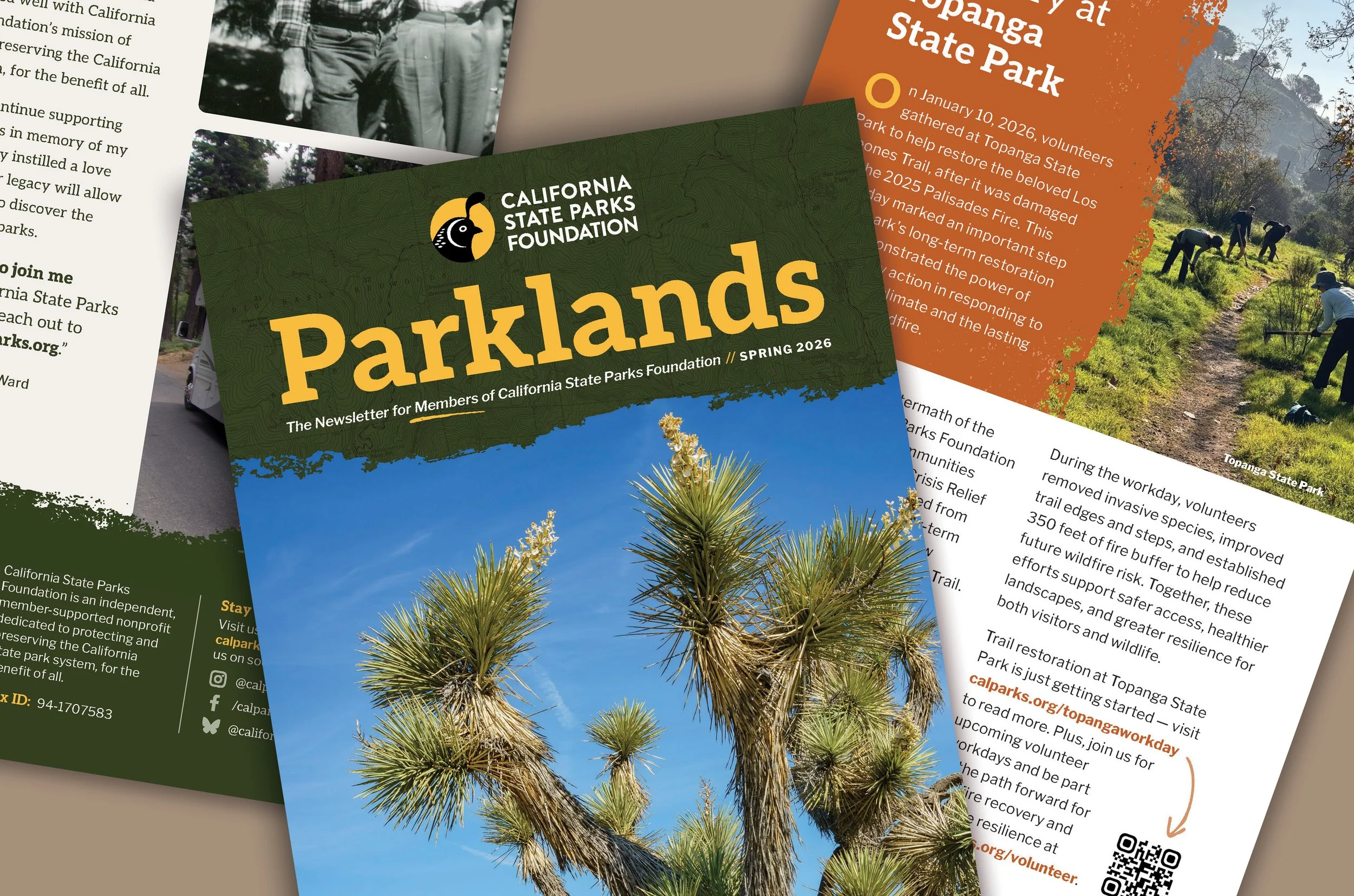 CSPF_parkland_5.jpg