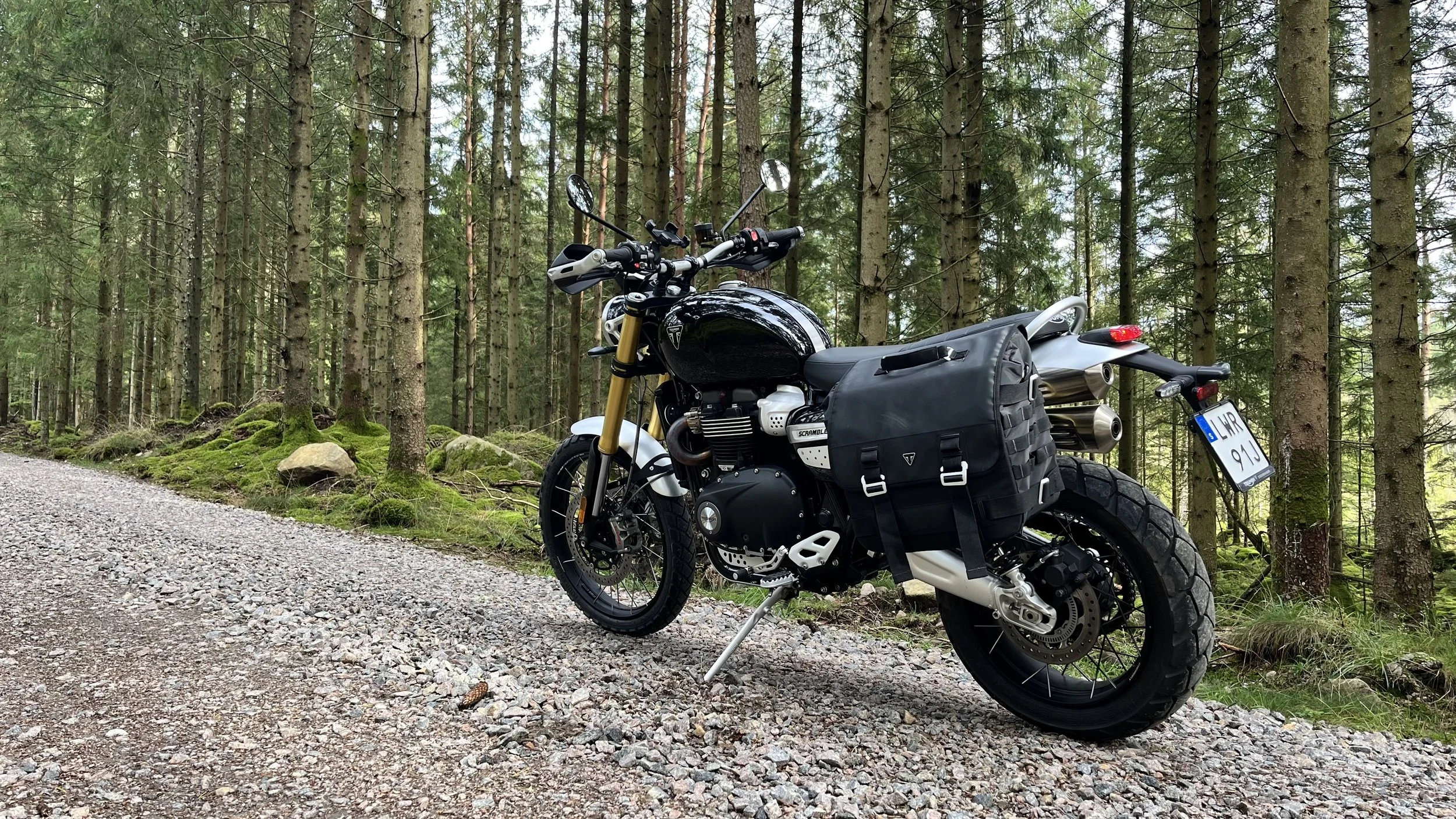 Black motorcycle with luggage parked on a gravel trail in a dense green forest.