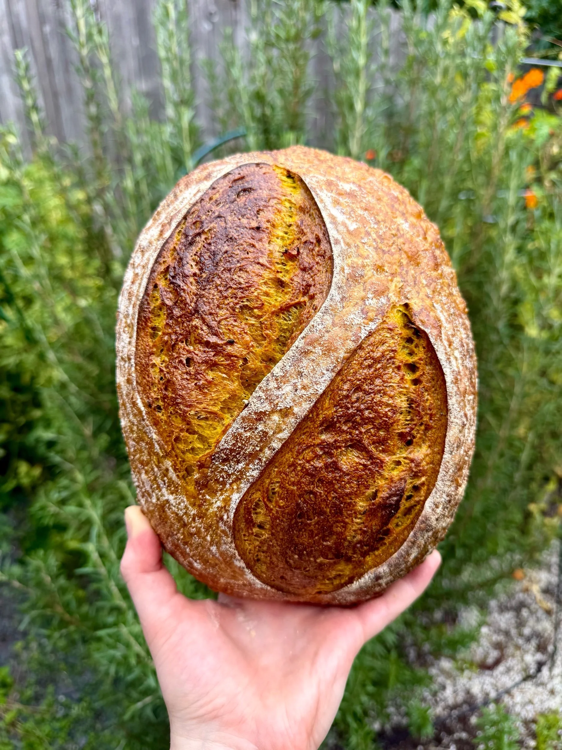 Turmeric & Black Pepper Sourdough