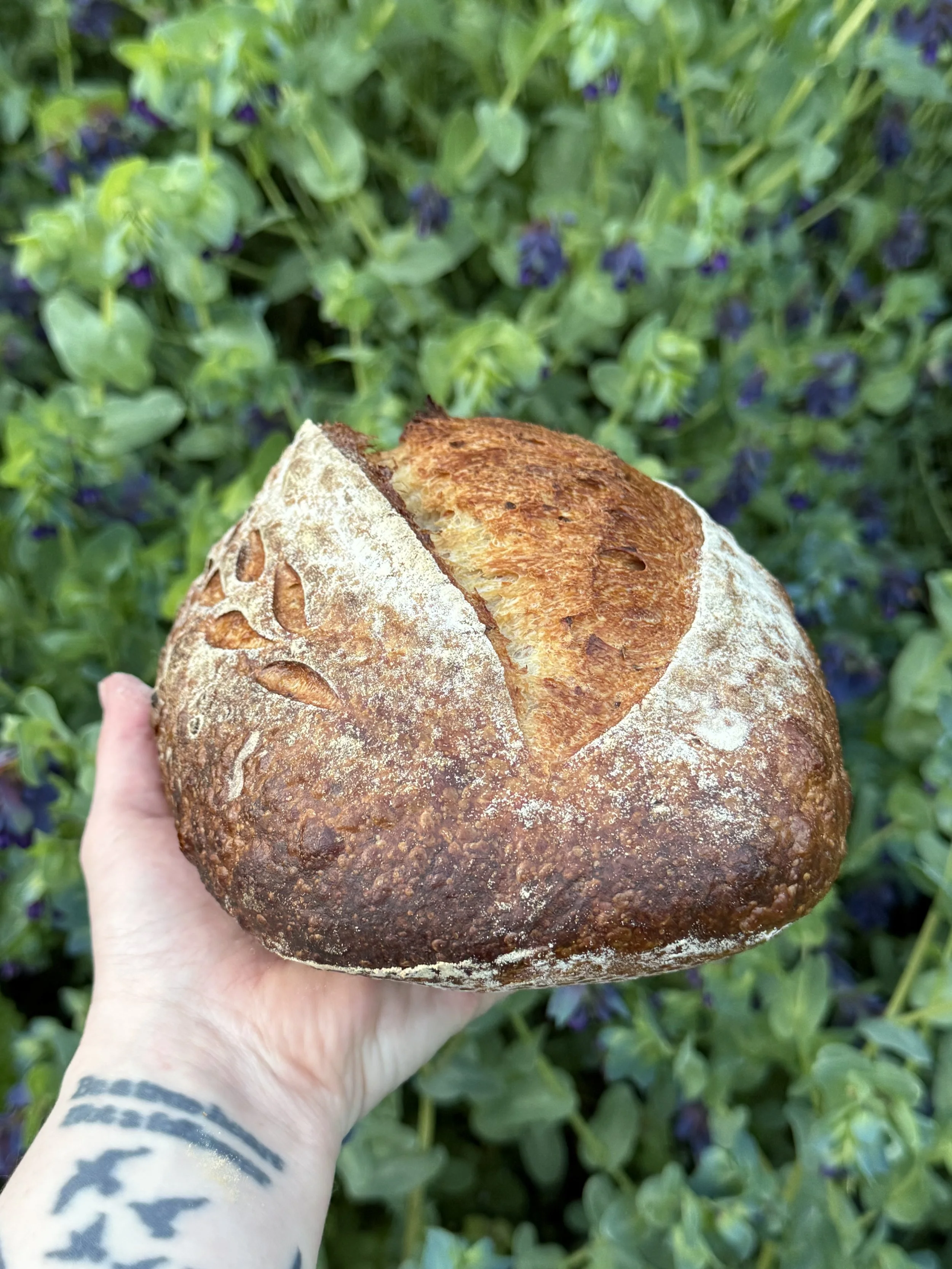 Chili Crisp & Thyme Sourdough