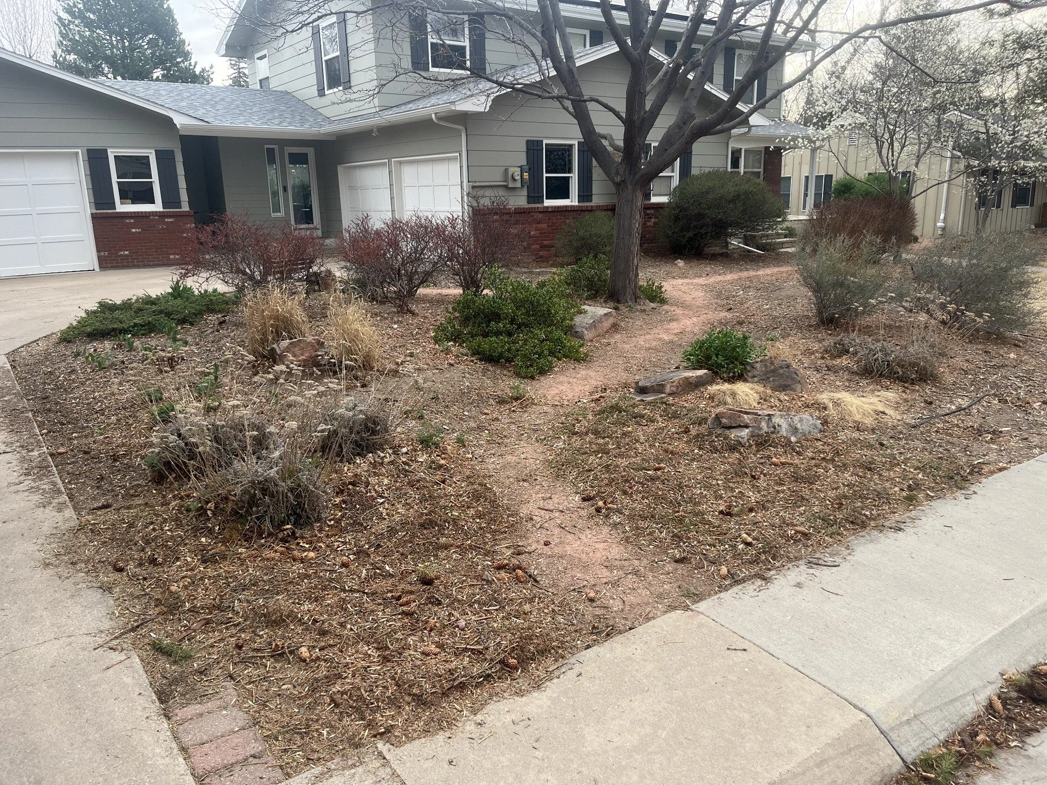 A residential front yard with a large tree, shrubs, and dry soil, with a modern house in the background.