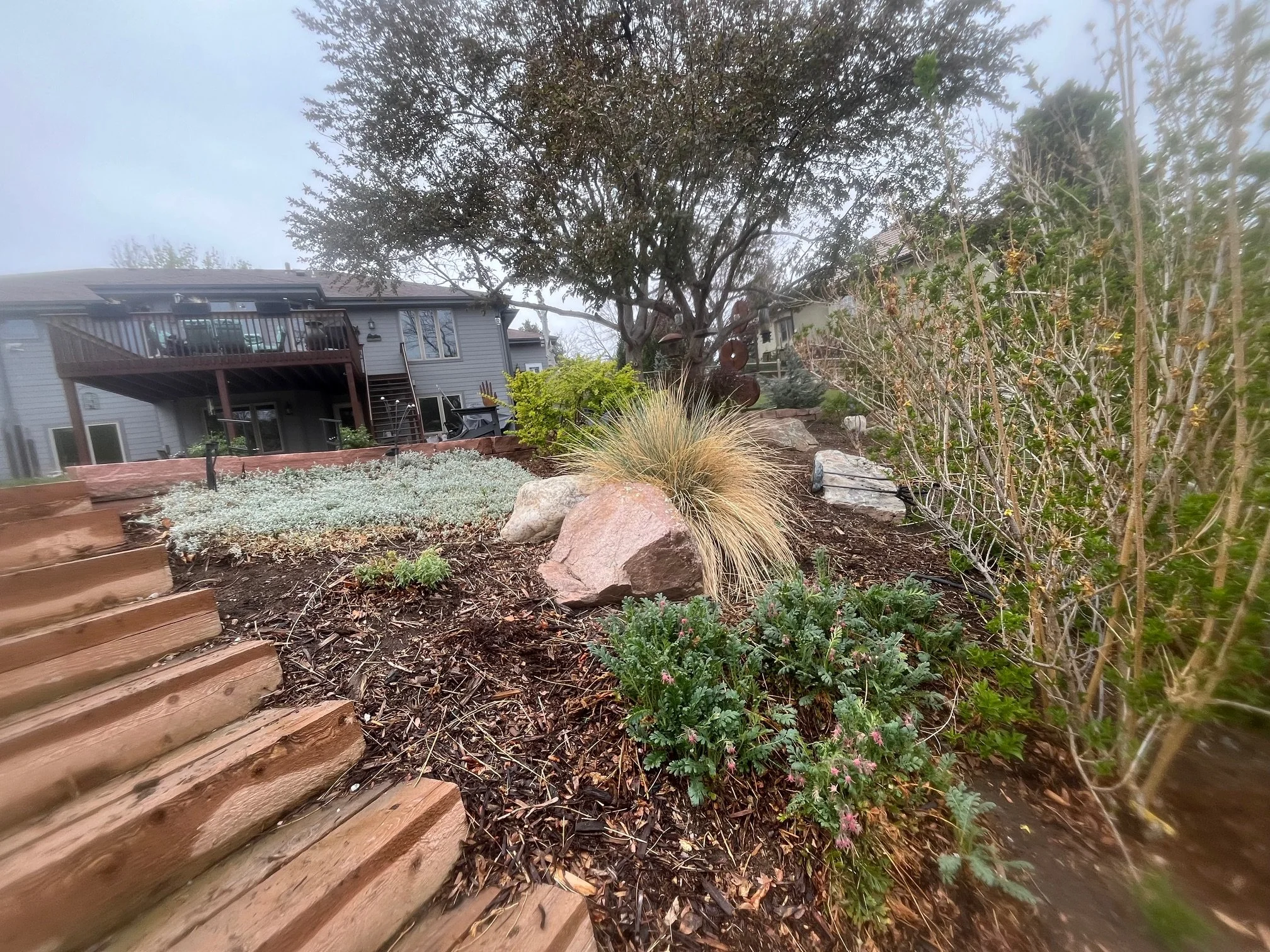 Backyard with wooden stairs, large tree, garden plants, and a house in the background under foggy sky.