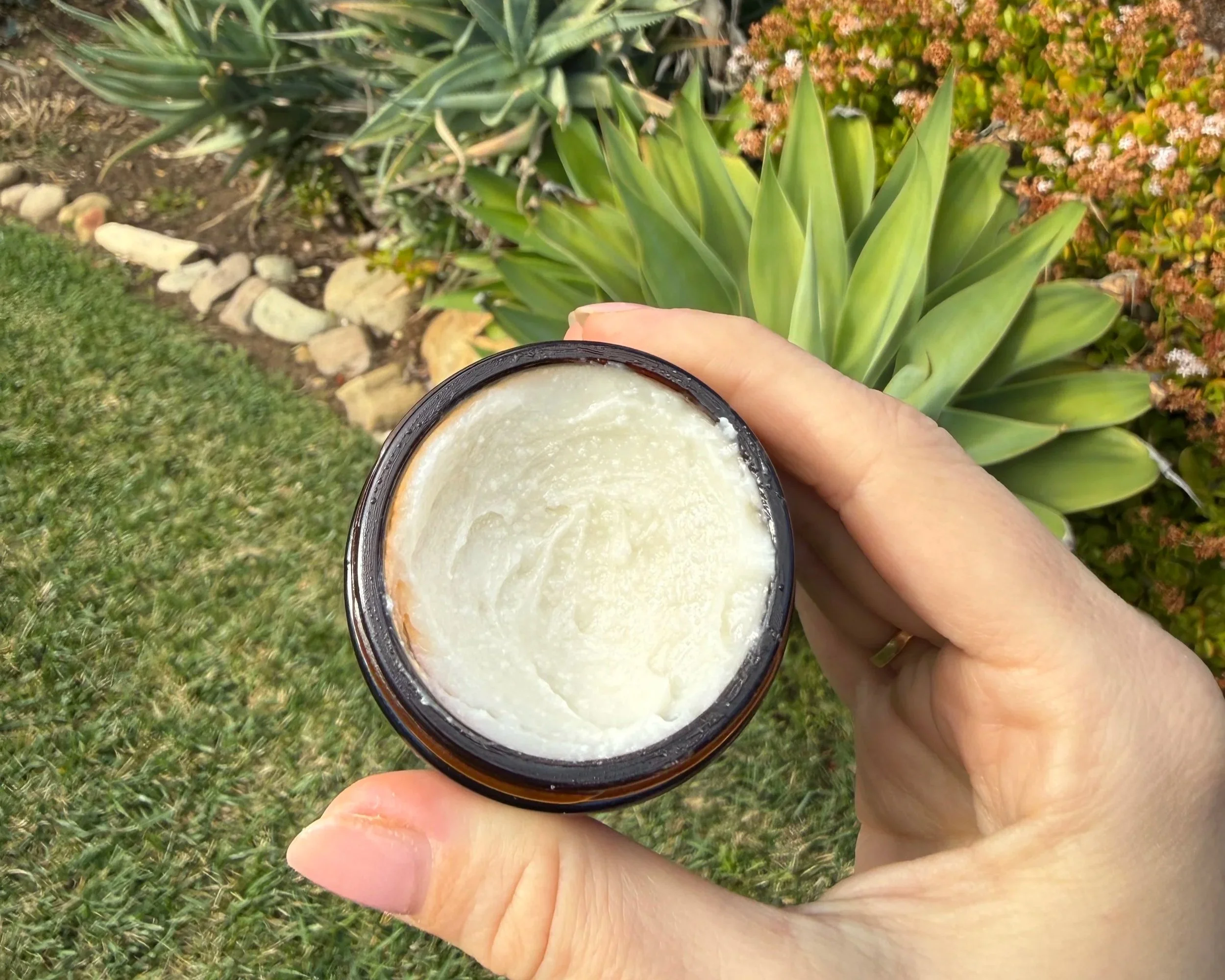 The Science of Magnesium: Why Your Body Needs It and How to Absorb It Best