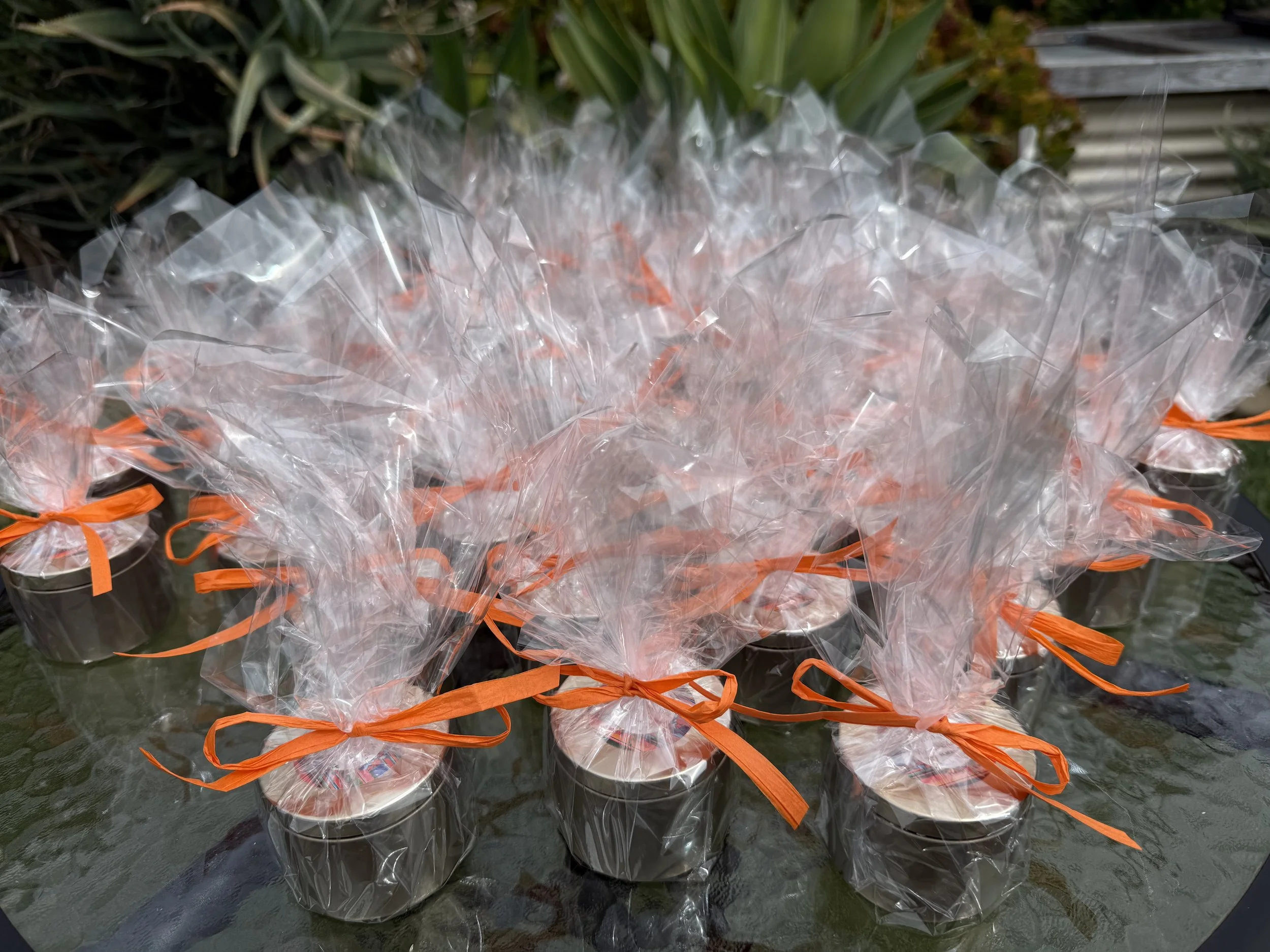 Lauryn's Bridal Shower 5.30.26