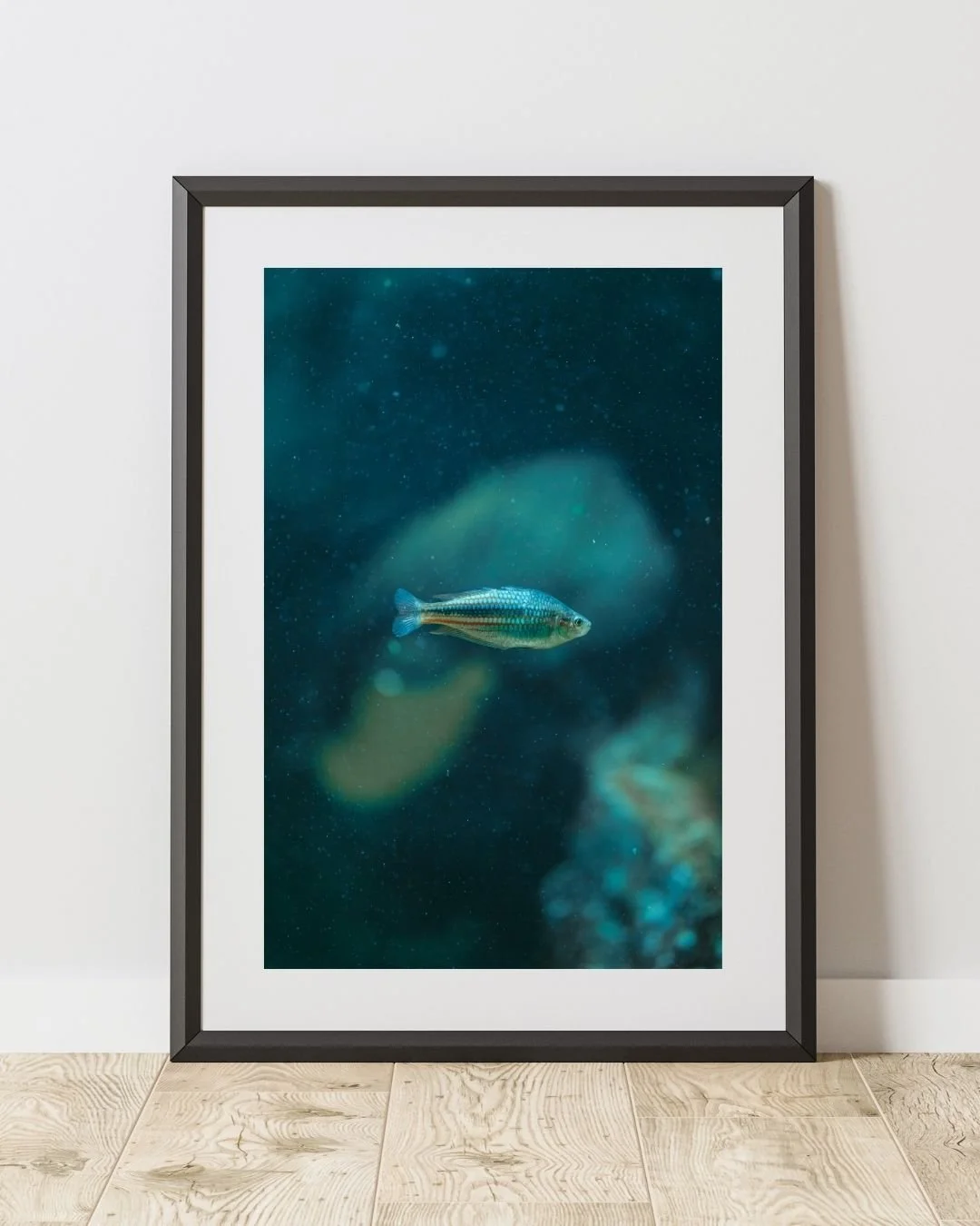 Poisson solitaire