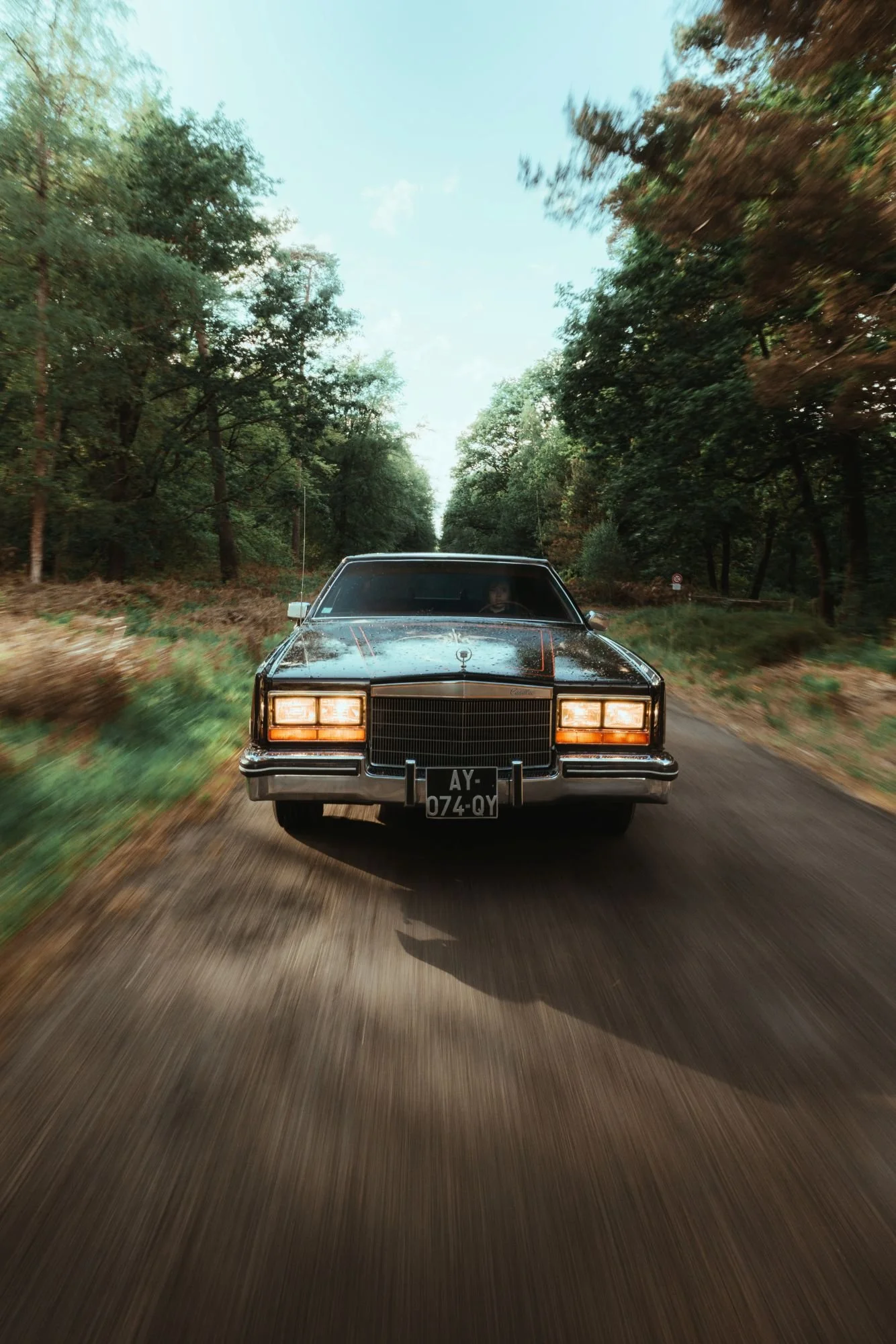 Voiture noire classique roulant sur une route bordée d'arbres dans un environnement forestier, vue de face