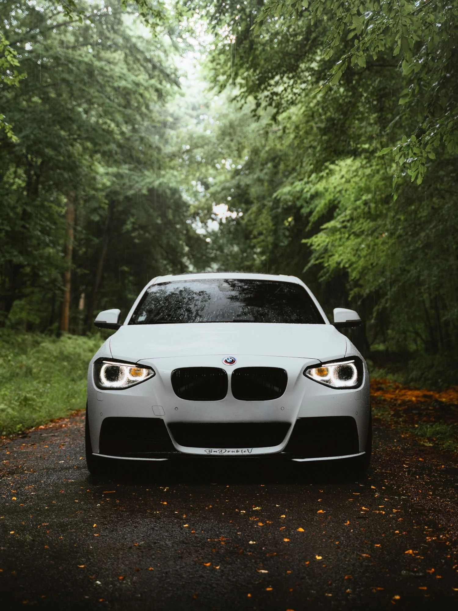 Voiture blanche devant une forêt avec des feuilles vertes, sol en gravier noir, pluie et feuilles tombées