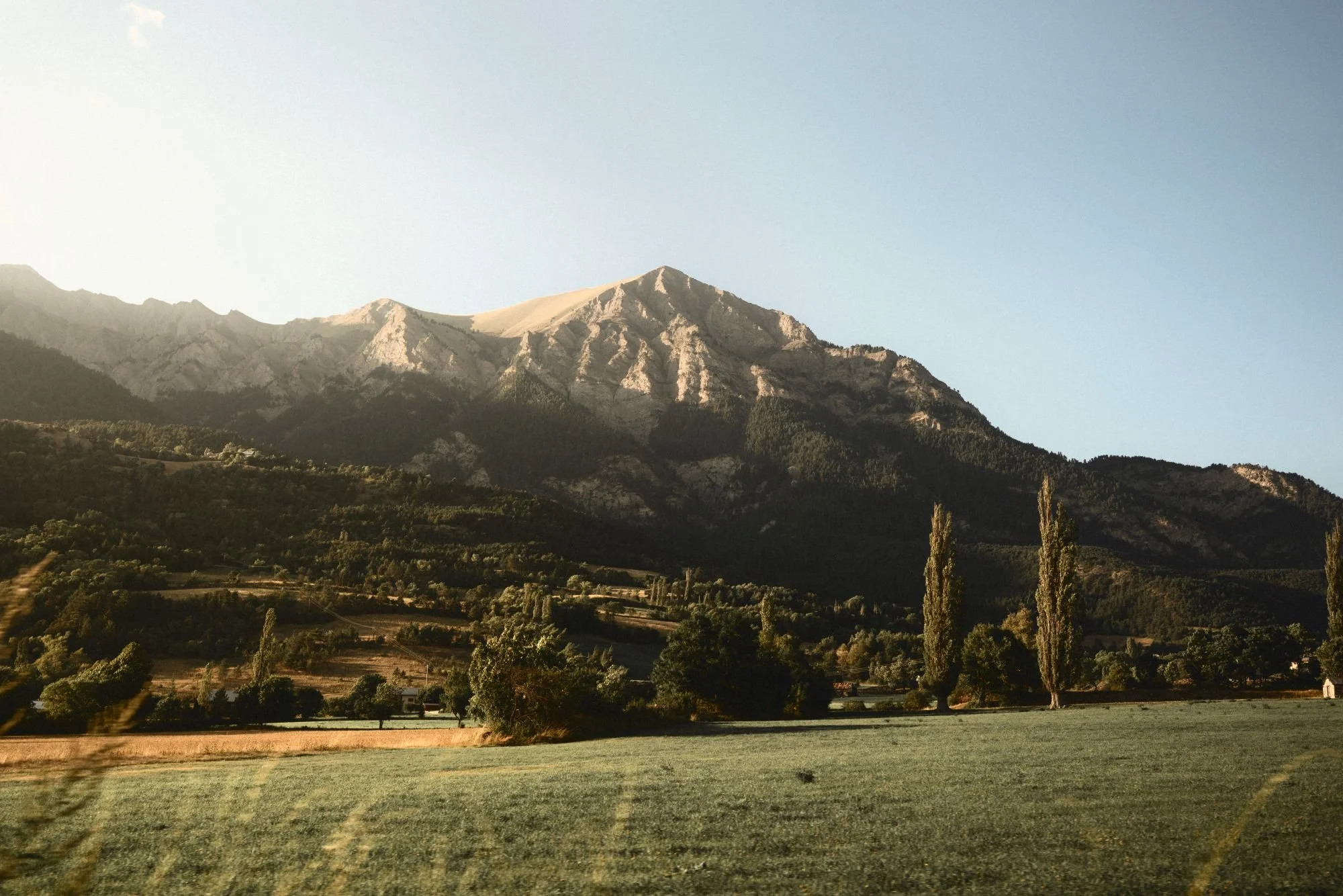 Montagne avec des pentes rocheuses et verdoyantes, arbres tallés au premier plan, ciel clair