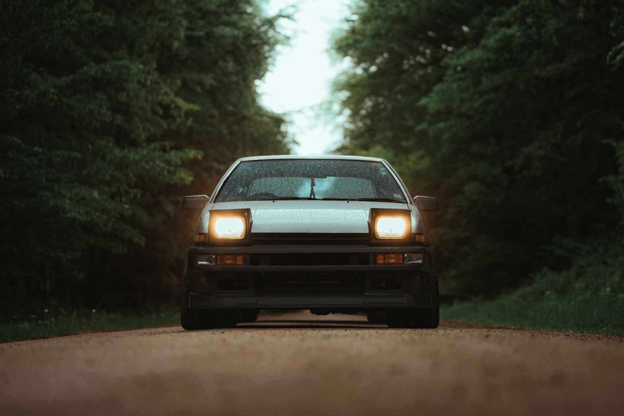 Une voiture de style rétro avec les phares allumés, roulant sur une route en forêt sous une lumière diffuse, entourée d'arbres verts.