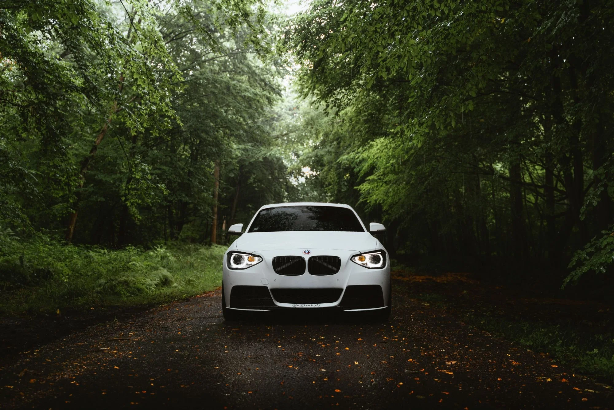 Voiture blanche sur une route forestière entourée d'arbres verts.