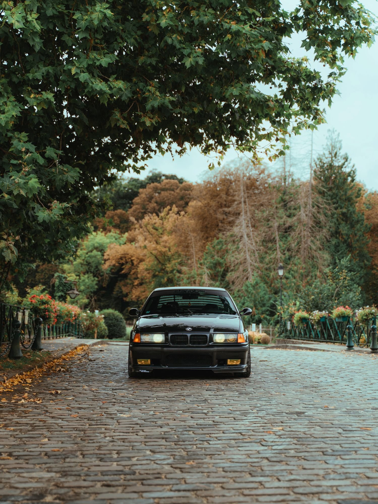 Voiture noire stationnée sur une rue pavée bordée d'arbres avec des feuilles tombées, en automne.