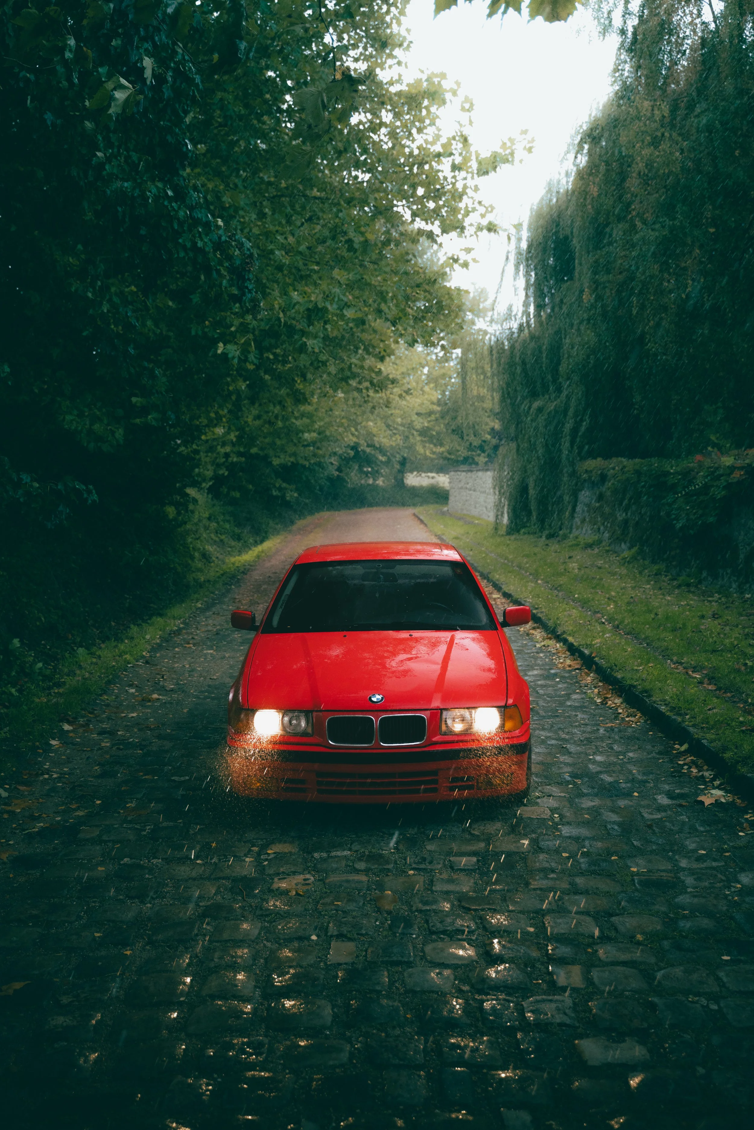Voiture rouge BMW stationnée sur une route pavée, entourée d'arbres verts et d'une végétation dense, sous une lumière de jour.