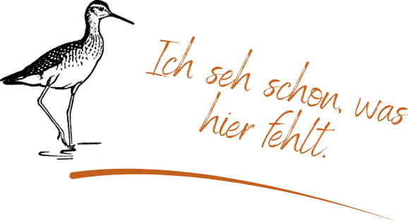 Vogelillustration mit dem Schriftzug „Ich seh schon, was hier fehlt“ für persönliche Beratung zu Innenraumgestaltung, Renovierung und Einrichtung in Wien