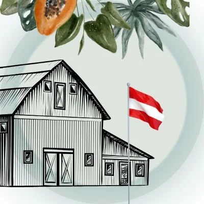 Icon für das 500 m² große Design-Lager: Gebäude mit österreichischer Flagge.