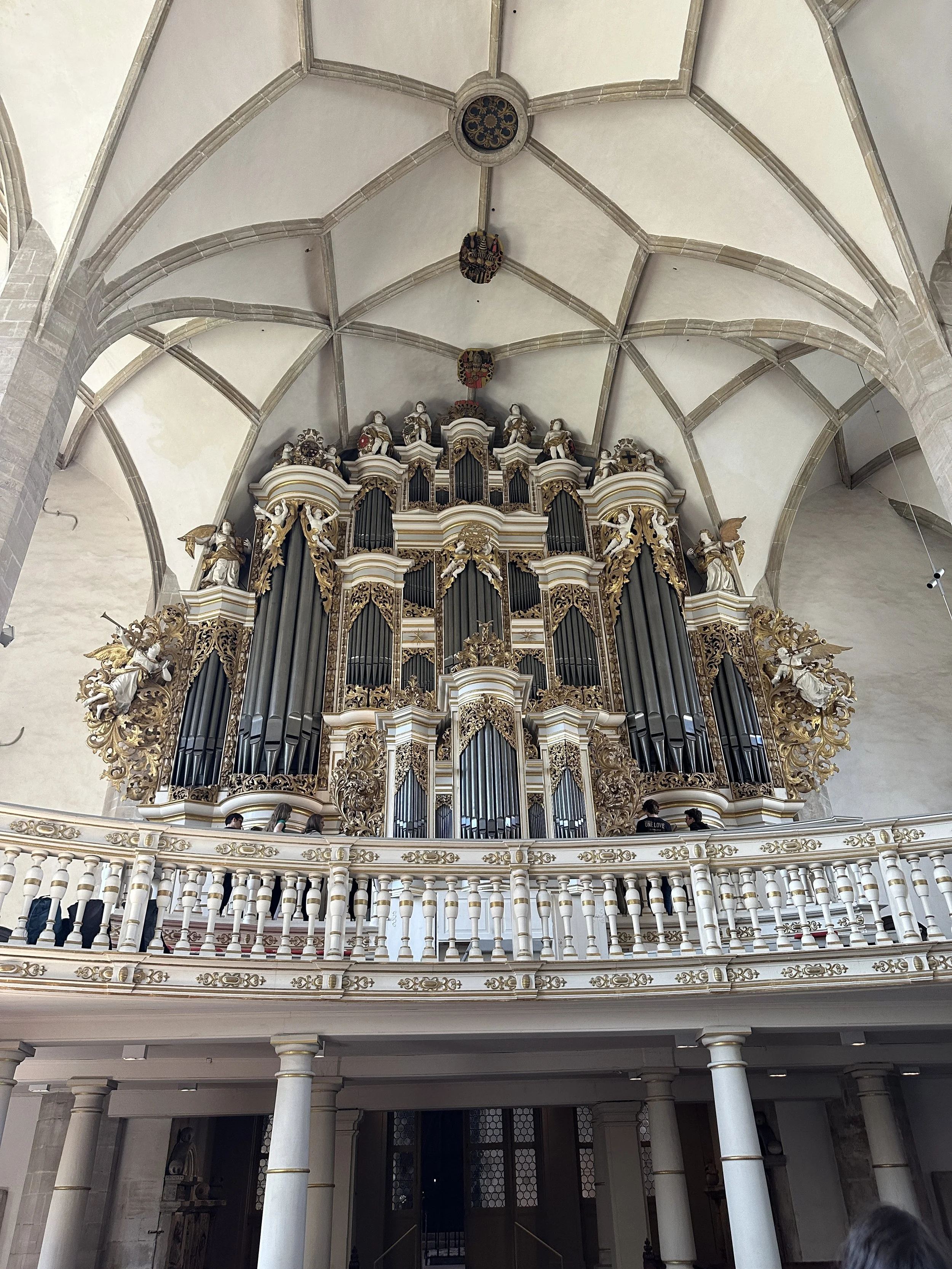 Ladegast-Orgel des Merseburger Doms 