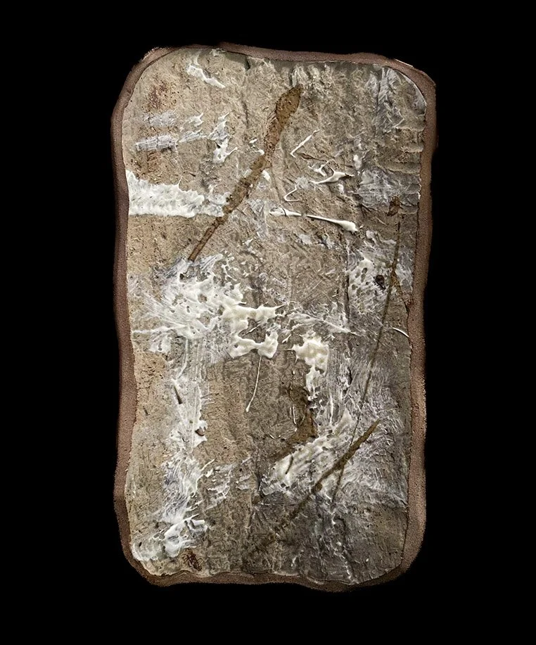 KAURI - A stoneware ash glazed piece with white porcelain slip. 