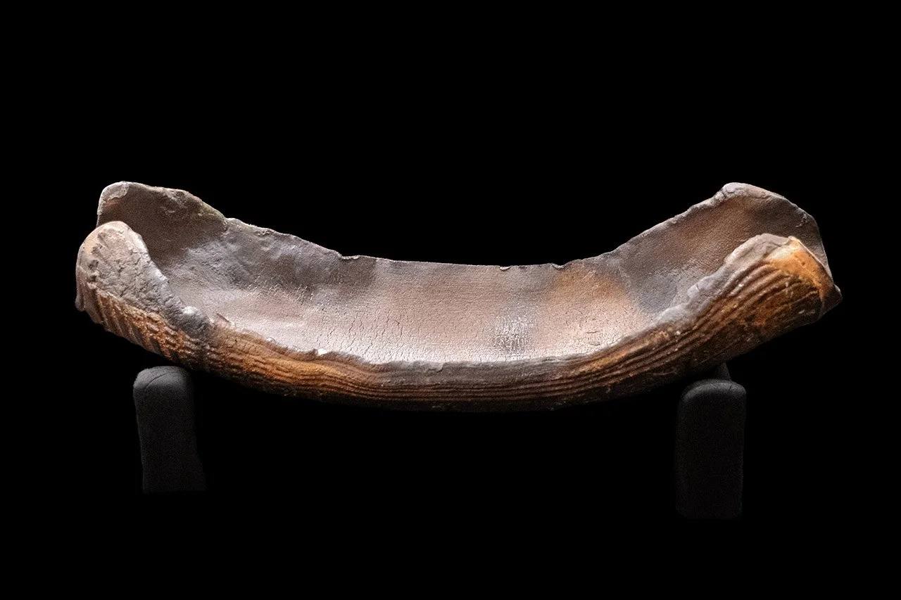 BOAT-  Wood-fired stoneware piece, Shino glazed. Double shou sugi ban white oak plinth supporting along both sides. 