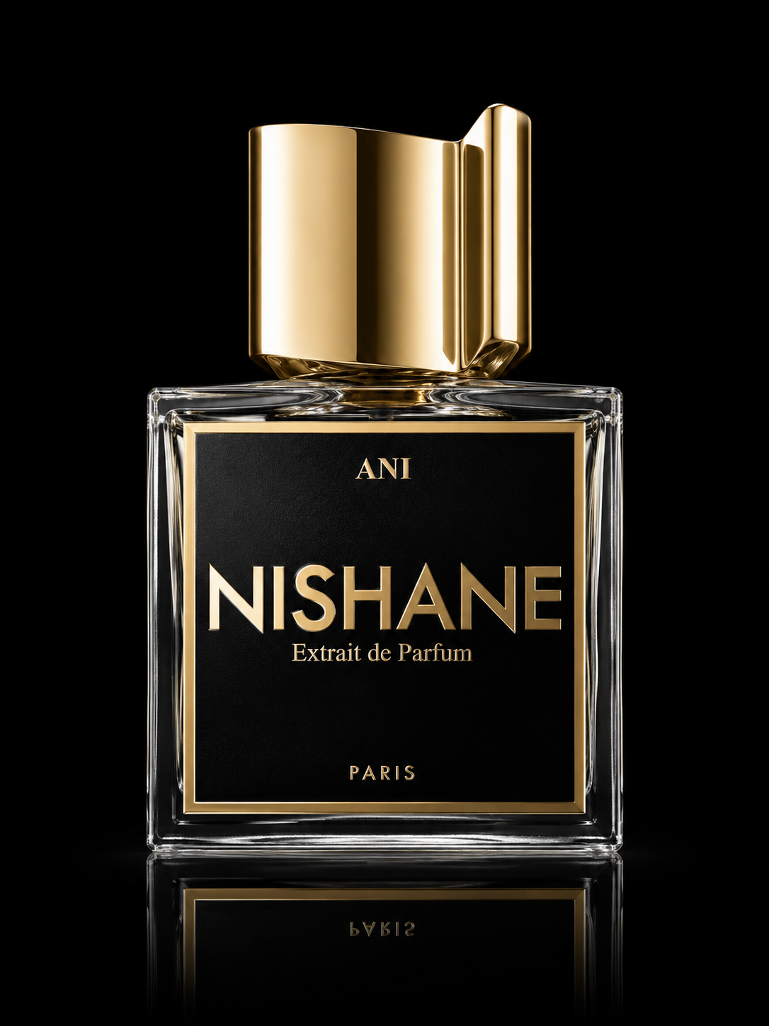 Flacon de parfum nommé Nishane, avec un design élégant en verre transparent, un bouchon doré et une étiquette noire avec des lettres dorées, sur fond noir.