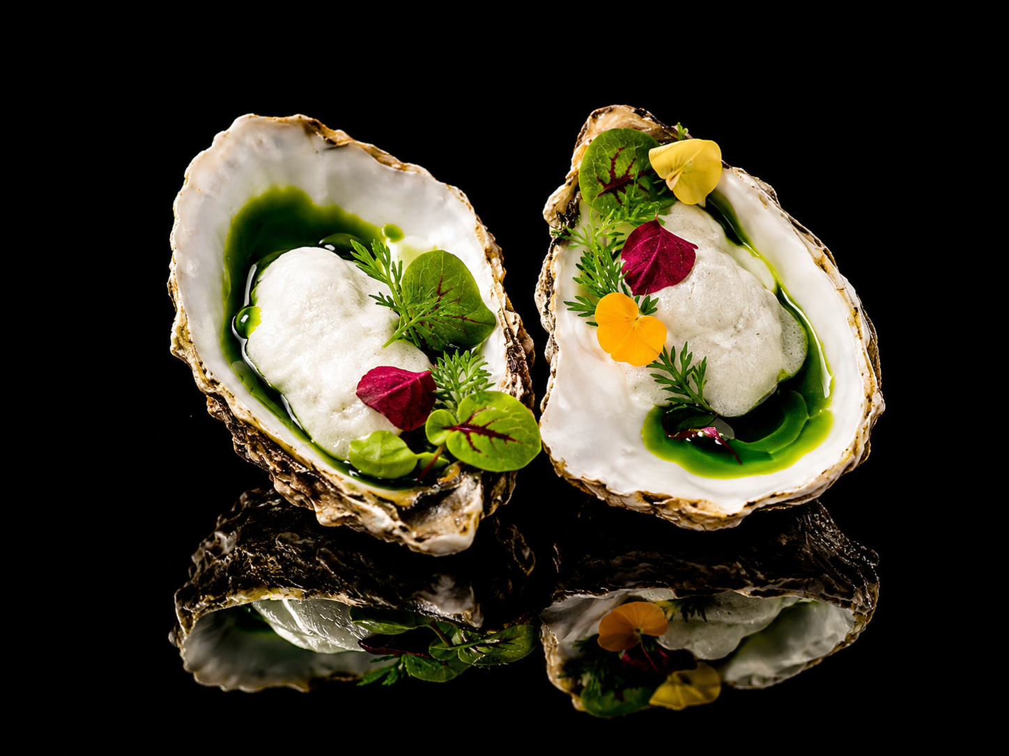 Coquilles Saint-Jacques avec garnitures de feuilles et fleurs comestibles sur fond noir.