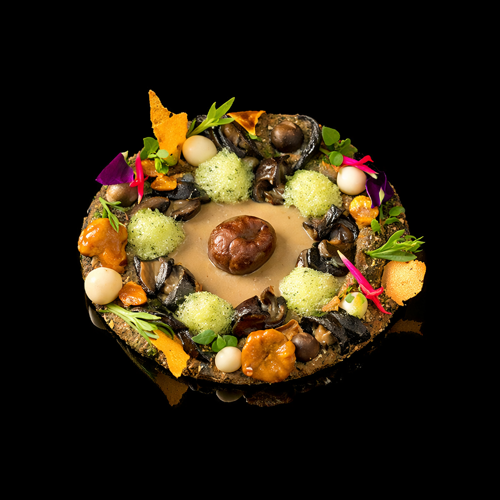 Gâteau décoré avec des champignons, des noisettes, des fleurs et des herbes, présenté sur un fond noir.