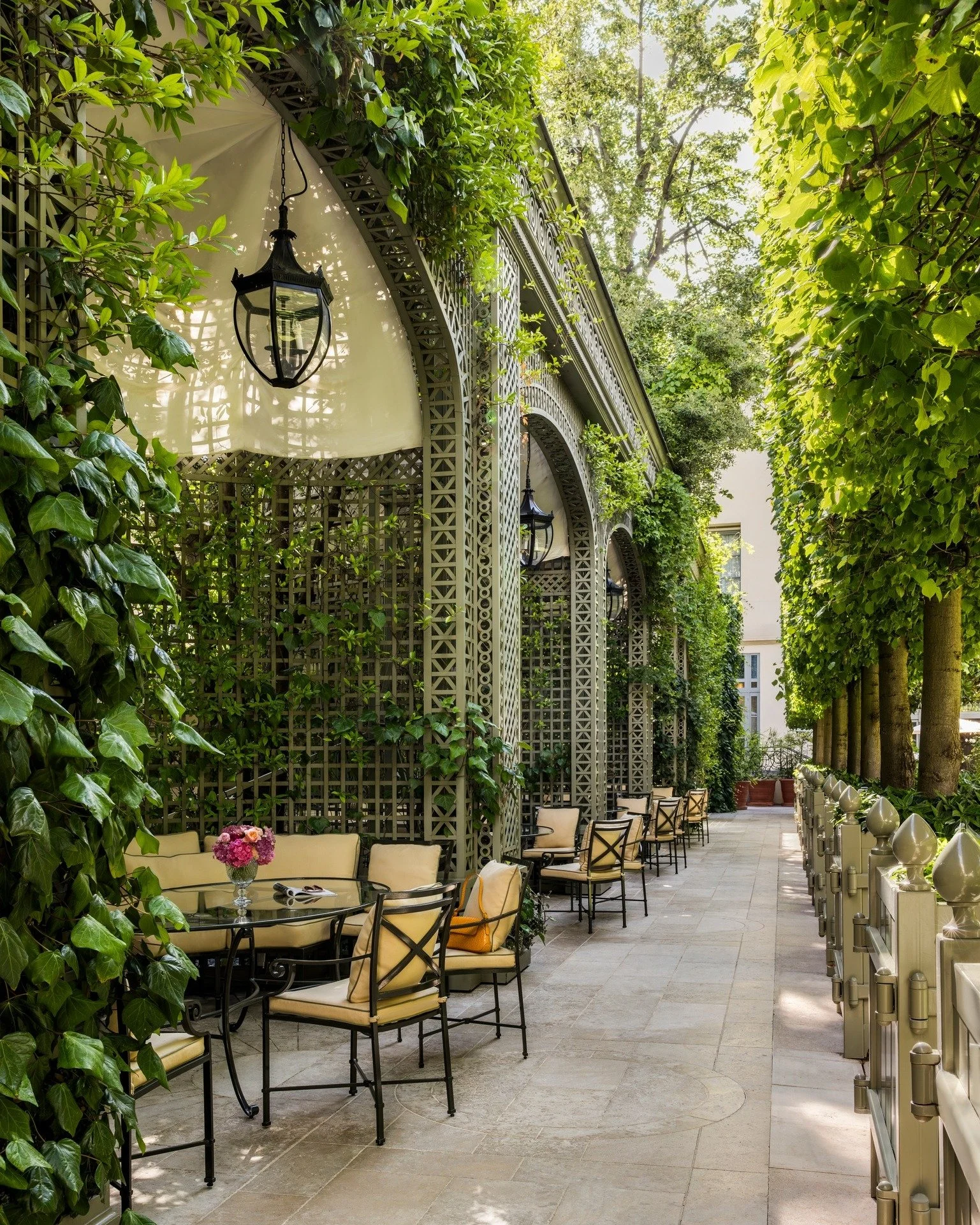 Terrasse extérieure bordée de plantes vertes, avec des tables et chaises, pergolas en métal, lanternes suspendues, et un chemin pavé. Luminosité naturelle avec beaucoup de feuillage.