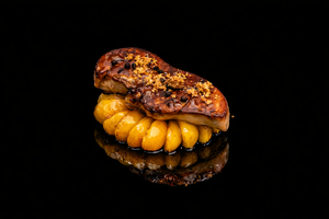 Une pièce de viande grillée sur un lit de purée de pommes de terre