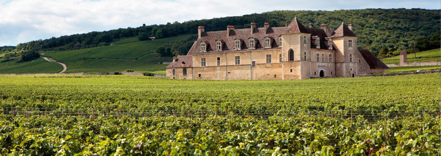 Château ancien entouré de vignobles verts dans la campagne.