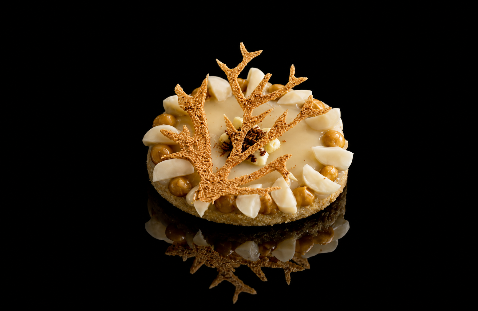 Gâteau rond décoré de morceaux de noix de coco, caramel et des feuilles en gâteaux croquants, sur fond noir.