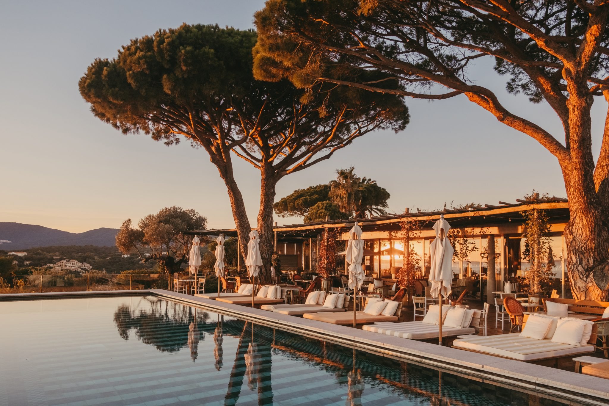 Piscine avec chaises longues et parasols, grand arbre au coucher du soleil, bâtiments en arrière-plan, ambiance paisible.