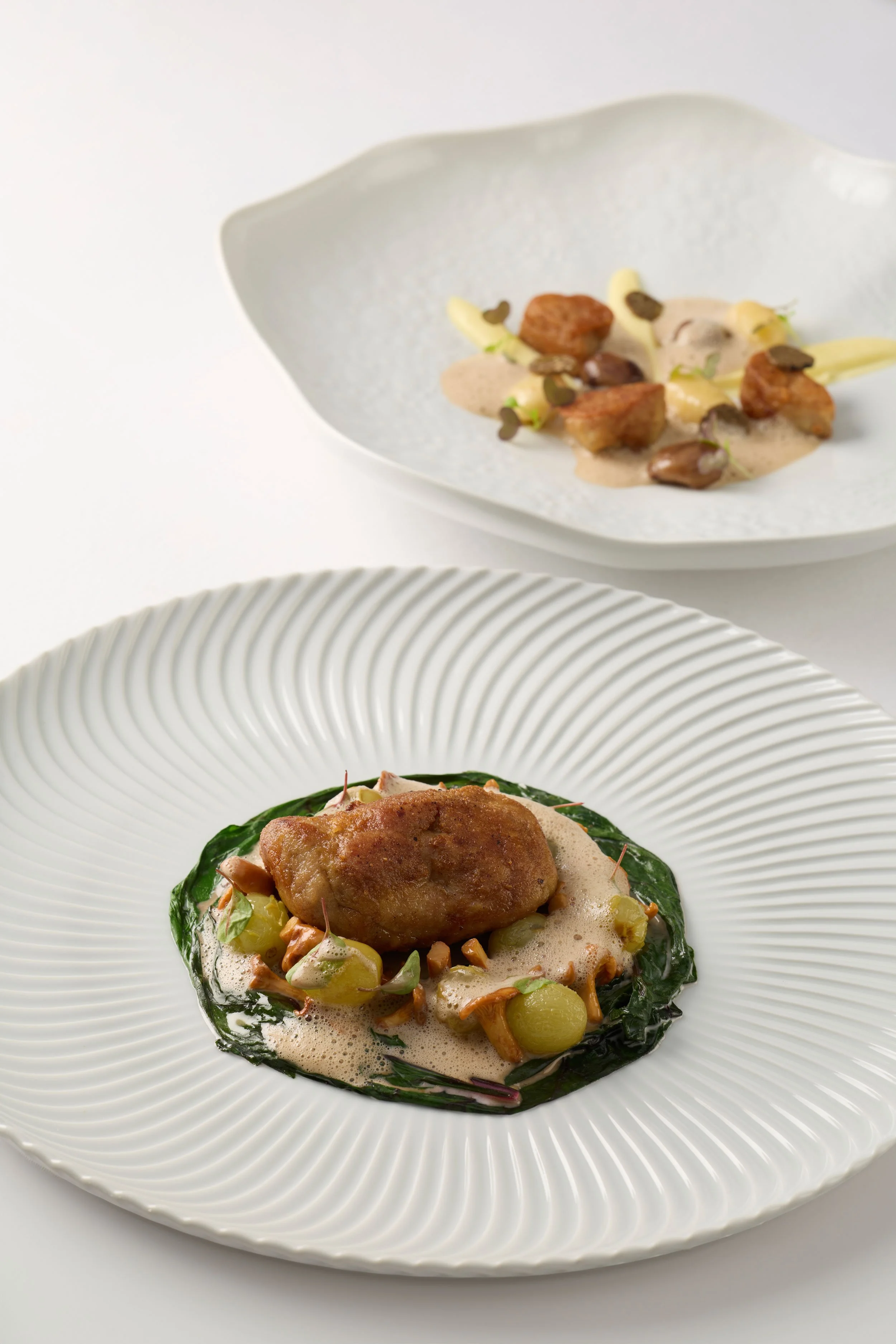 Une assiette de présentation de cuisine gastronomique avec un plat principal comprenant une pièce de viande ou de volaille, entourée de légumes verts et nappée d'une sauce mousseuse, et une autre assiette avec une composition de morceaux de viande ou de poisson accompagnés d'une sauce claire.