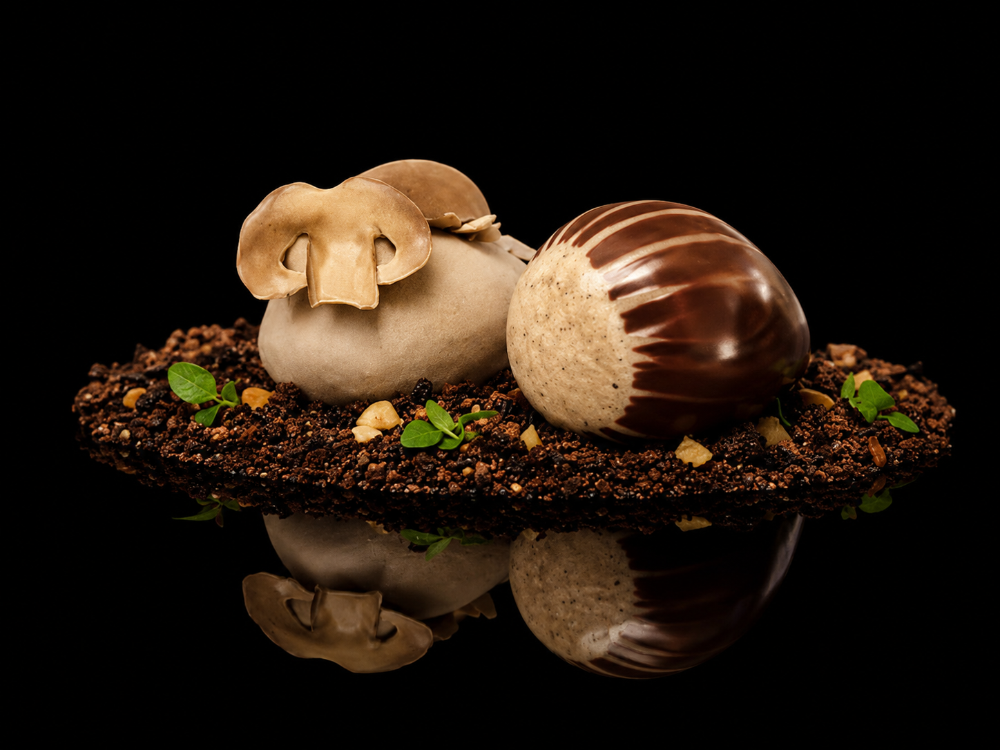 Morceaux de champignon et noisettes sur un lit de terreau, avec de petites feuilles vertes, sur fond noir.