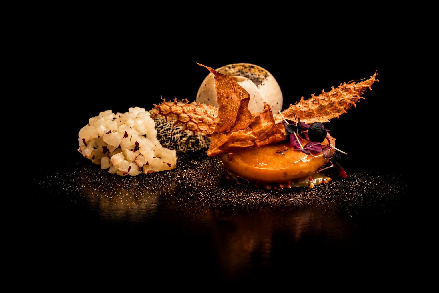 Assiette gastronomique avec divers éléments gourmets sur fond noir.