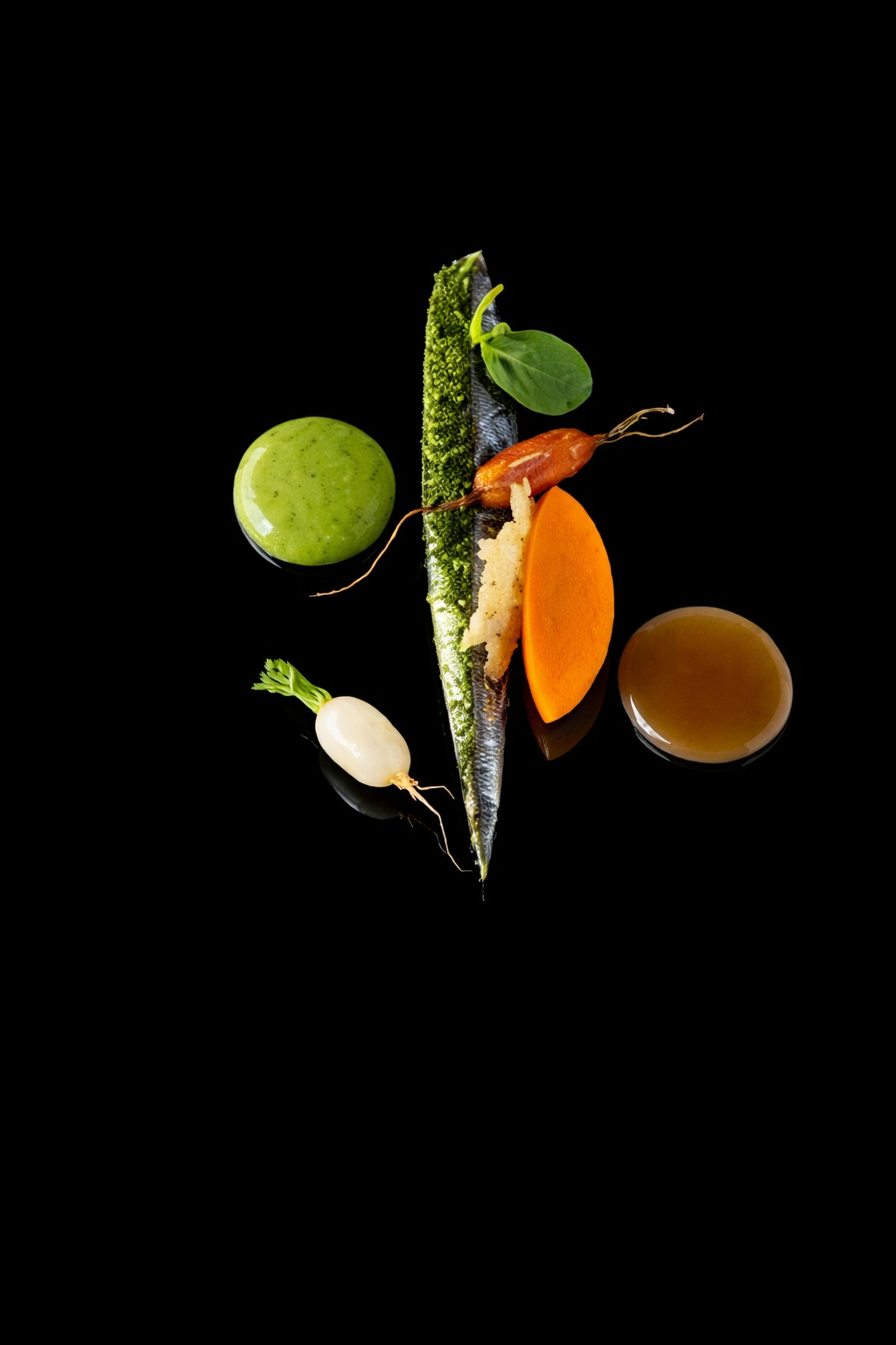 Mise en scène culinaire avec une sardine entourée de légumes et sauces sur un fond noir.