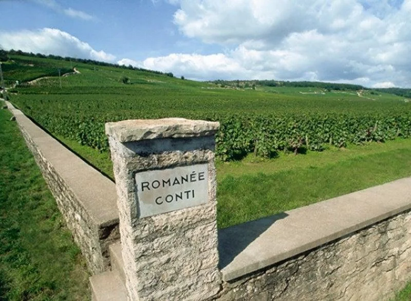 Vignoble avec un panneau indiquant 'Romaine Conti' dans le sud-est de la France, sous un ciel partiellement nuageux.